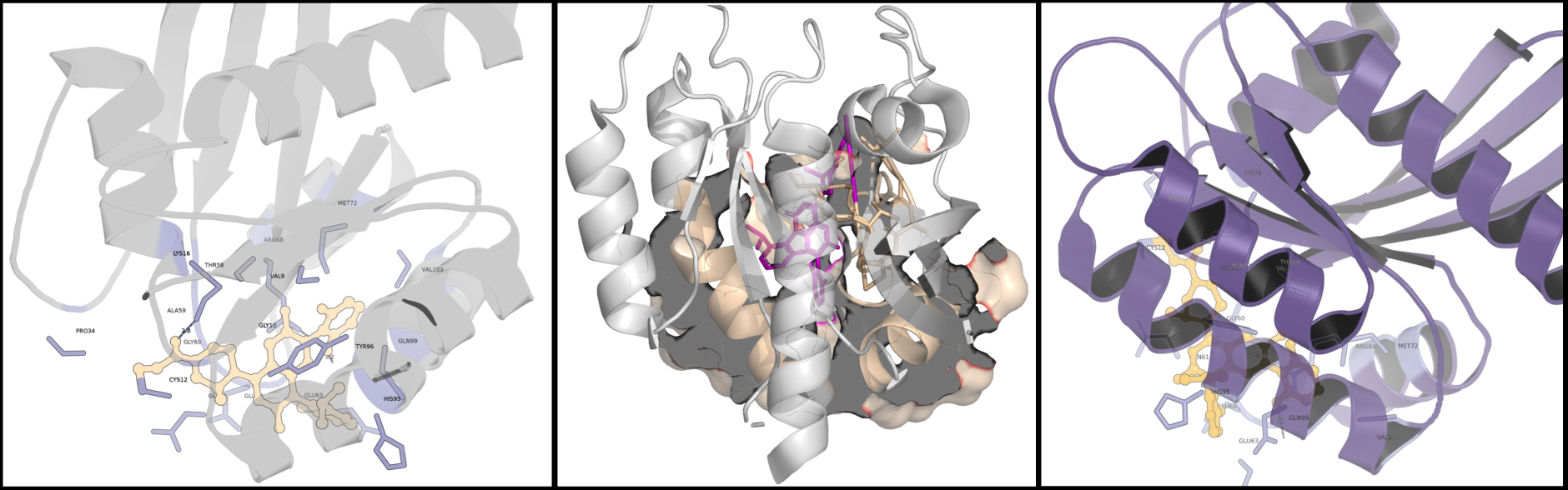 Figure 1: Pocket–ligand structure of 6OIM, a KRAS G12C system. This example shows the local binding-pocket region studied in this work.