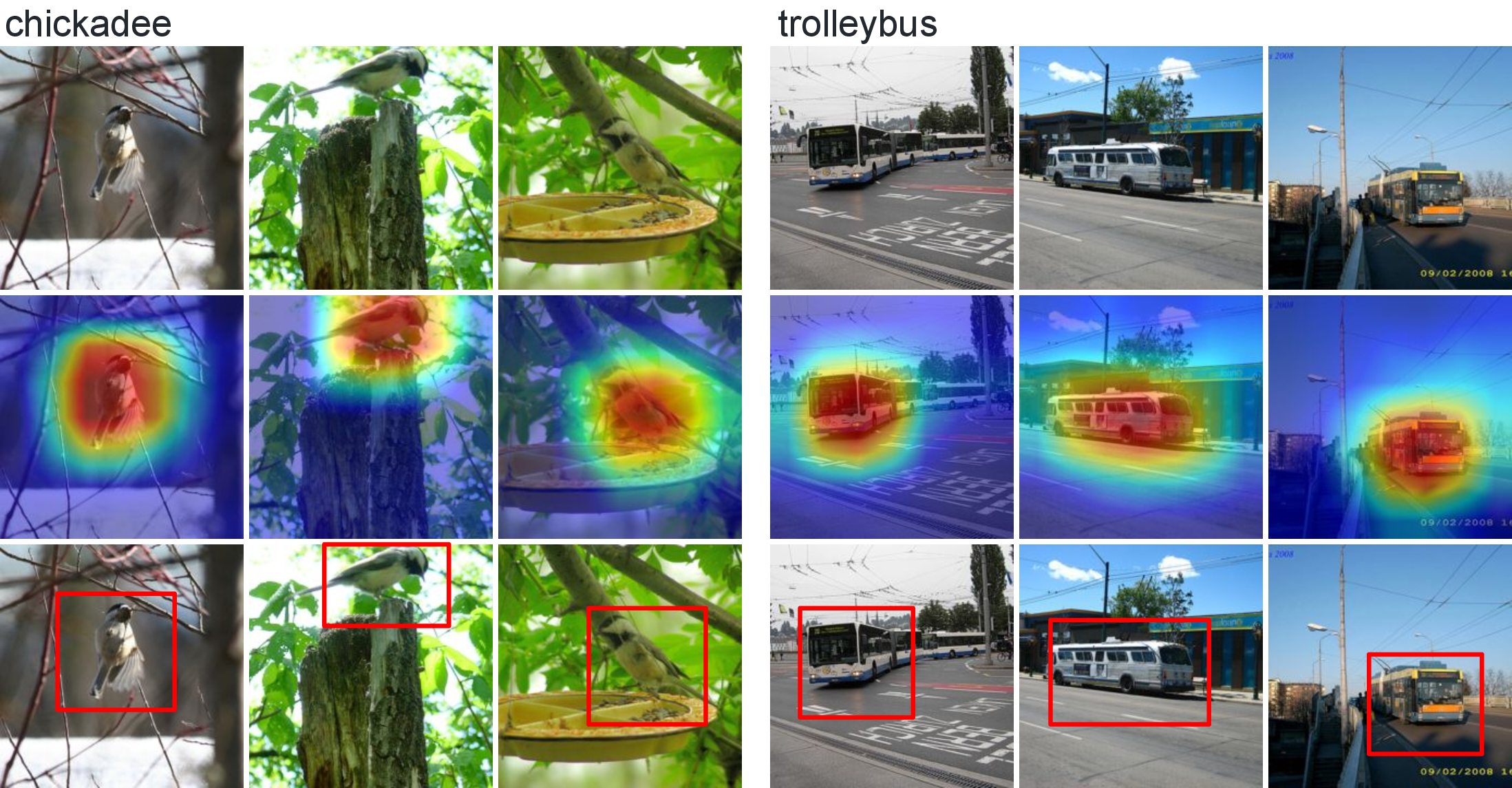 Figure 4: The bounding boxes generated with the salience threshold t=0.5, which accurately localize the key object in each image.