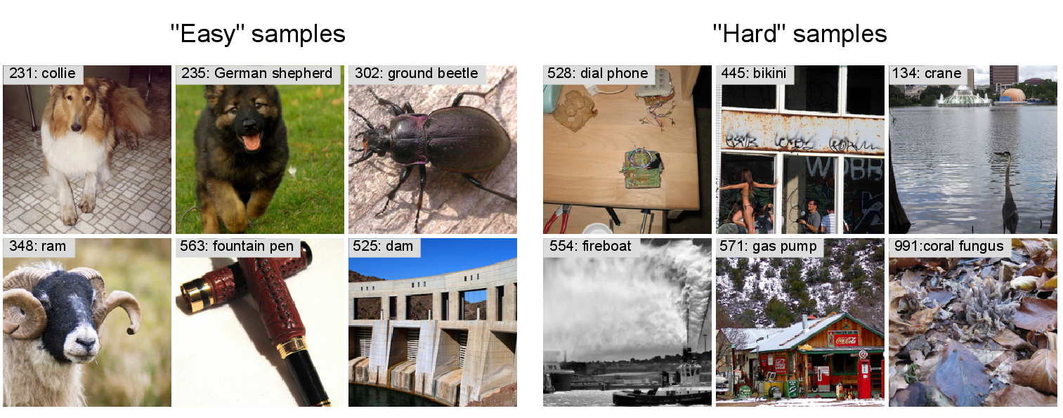 Figure 15: Visualization of some hard samples and easy samples. Hard samples are considered as the images that cannot be confidently classified by the first model, and easy samples refer to those images that can be confidently classified by the first model. All images are from ImageNet-1K.