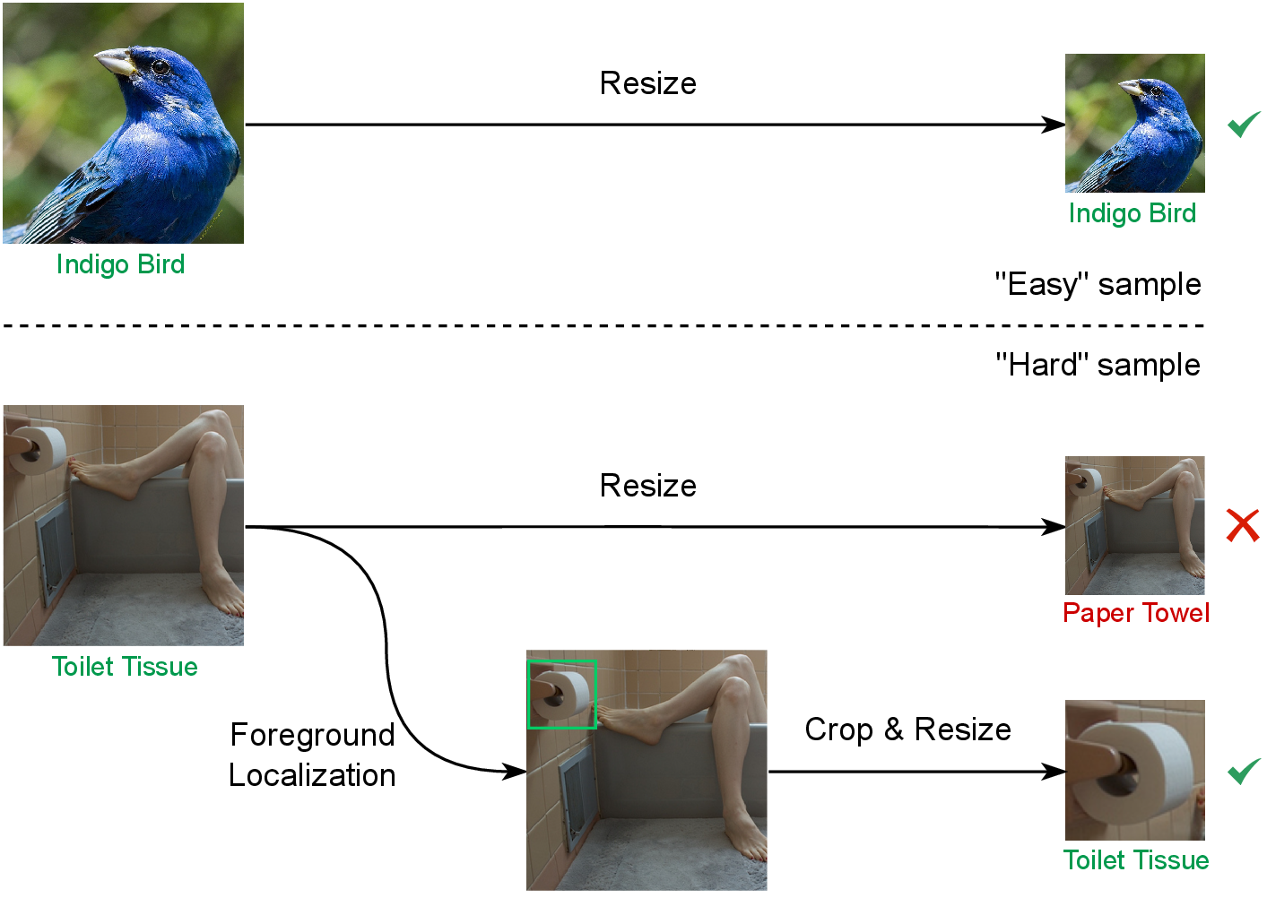 Figure 1: The predictions from ResNet-50. For easy samples, the network can still generate correct predictions at a smaller resolution (e.g., 112 \times 112 for ImageNet-1K). For hard samples, simply resizing images to a smaller resolution can lead to misclassification, while using dynamic cropping can correctly classify hard samples at a smaller resolution.
