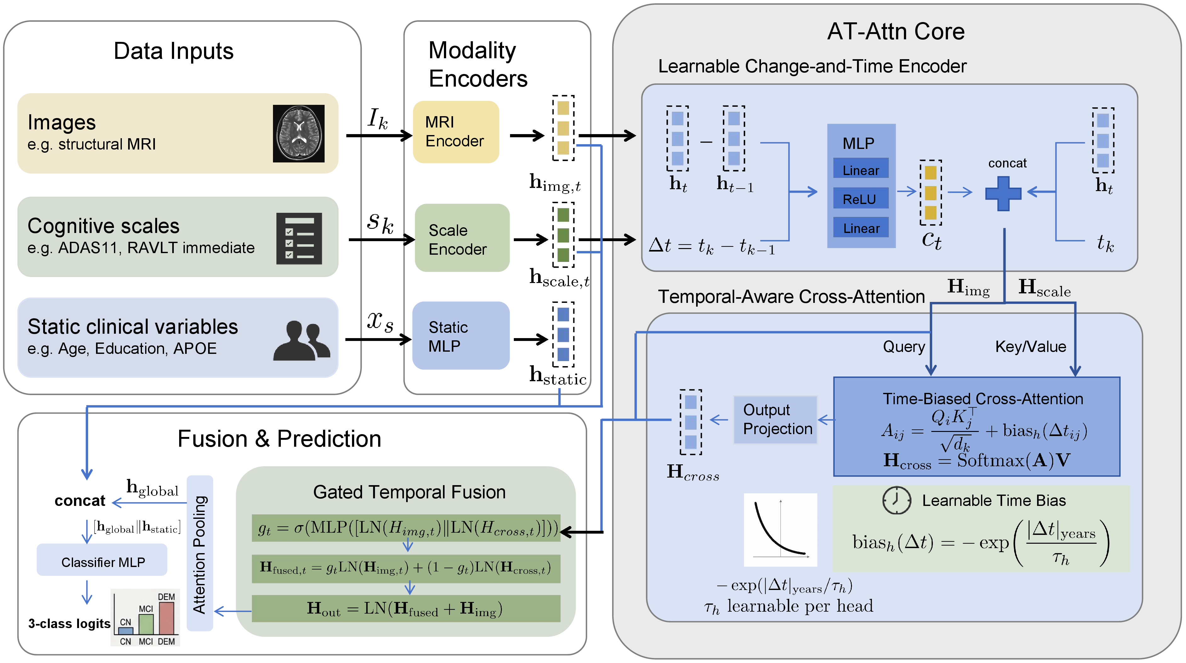 Figure 1: Overview of the AT-Attn framework. MRI and cognitive-scale features are first encoded and enriched by modality-specific Change-and-Time encoders. MRI then queries cognitive-scale representations through time-biased asymmetric cross-attention, and the resulting representations are integrated by gated fusion. The fused sequence and complementary direct representations are temporally pooled and combined with static clinical features for final classification.