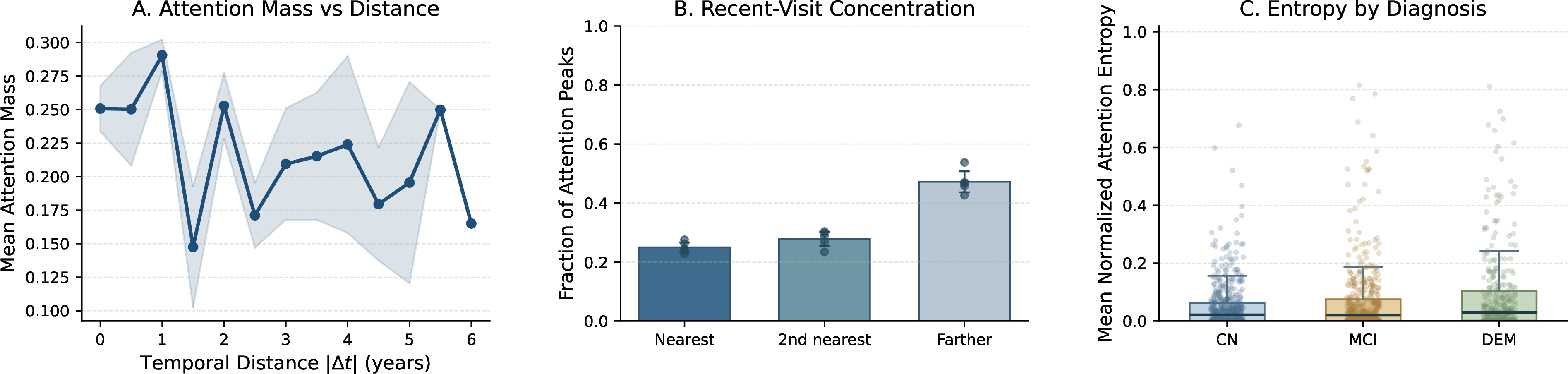 Figure 4: Cohort-level attention analysis of the full AT-Attn model across the five held-out test folds. (A) Mean attention mass by temporal distance |\Delta t| between MRI query and cognitive key/value visits (95% CI across folds). (B) Fraction of attention rows whose peak falls on the nearest, second-nearest, or a more distant visit. (C) Subject-level mean normalized attention entropy by final diagnosis.