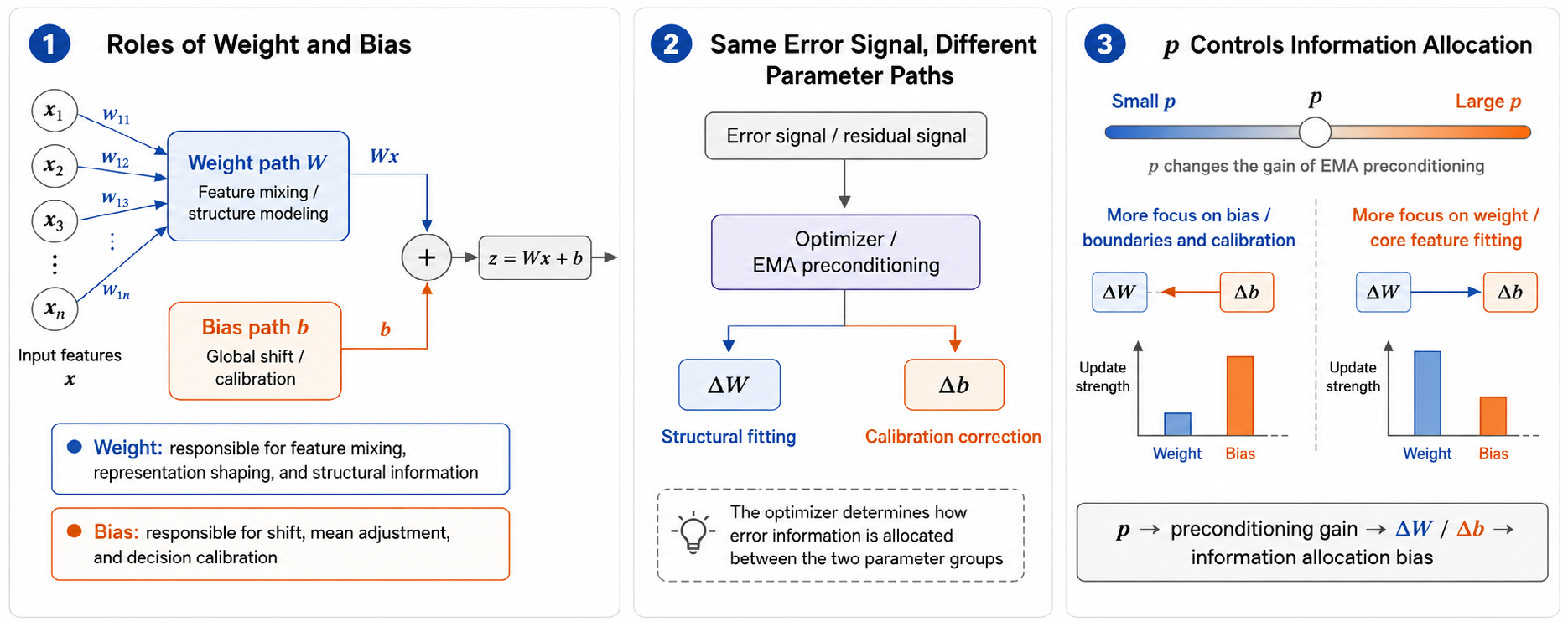 Figure 2: Illustration of weight–bias information allocation. Weight and bias parameters represent different optimization pathways: weight mainly controls feature composition and structural representation, while bias adjusts global shifts and decision calibration. The optimizer redistributes error information between these two parameter groups through EMA preconditioning. The exponent p controls the relative update emphasis between weight and bias paths by modifying the preconditioning gain.