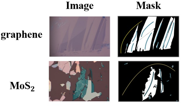 Figure 3: Illustrative examples of the sparse structural supervision used in our framework. For each row, the left column shows the original microscopic image. To intuitively display the spatial distribution of the sparse supervision, the scribbles are directly superimposed onto the full masks in the right column. These scribbles capture key geometric structures while avoiding dense annotation, enabling effective learning under extremely limited labeling cost.