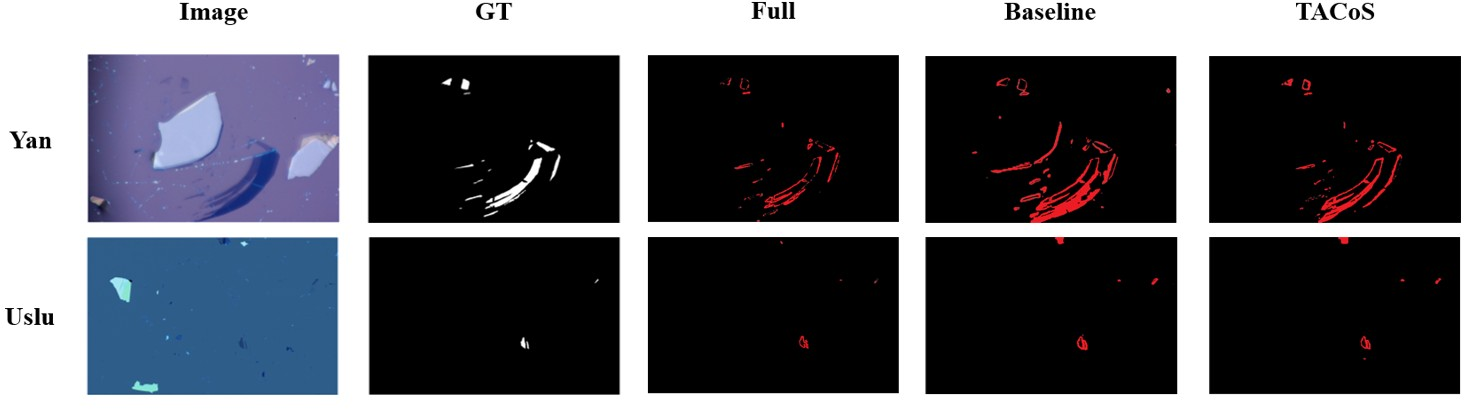 Figure 6: Visualization of segmentation failure cases under extreme optical conditions. The red pixels in the rightmost three columns highlight the misclassified regions (including both false positives and false negatives) produced by the fully supervised model (Full), the scribble-based baseline (Baseline), and the proposed TACoS method, respectively, when compared to the ground truth (GT). The examples are sampled from the Yan and Uslu datasets, illustrating typical boundary shifts and impurity misclassifications induced by weak thin-film interference contrast.