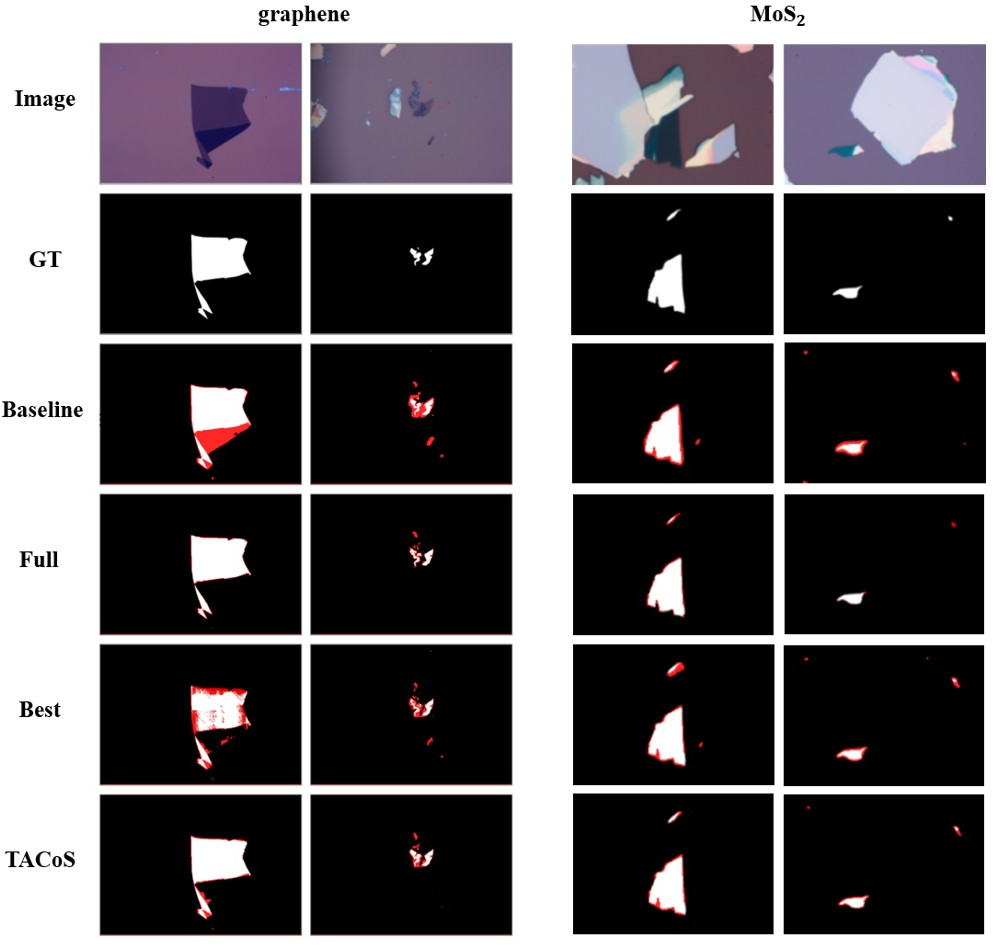 Figure 4: Qualitative results of flake segmentation on the Yan dataset. Visual comparison of segmentation performance for graphene and MoS_2 flakes. From top to bottom, the rows display the input optical microscopic images, ground truth (GT) masks, and prediction results from the baseline model, the fully supervised model (Full), comparative methods (URSS for graphene and CC4S for MoS_2), and our proposed TACoS framework. Misclassified pixels, including false positives and false negatives, are overlaid in red on the prediction masks. The results demonstrate that TACoS produces cleaner boundaries and significantly fewer segmentation errors compared to the competing methods.