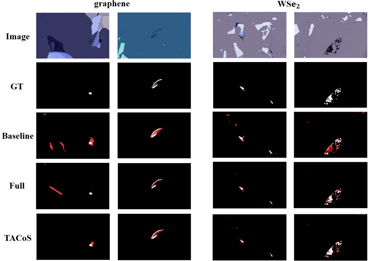 Figure 5: Qualitative results of flake segmentation on the Uslu dataset. Visual comparison of segmentation results on graphene and WSe_2 flakes from the Uslu dataset. The rows represent the input microscopic images, ground truth (GT) annotations, and predictions from the baseline model, the full-supervision model (Full), and our TACoS method. Misclassified regions are highlighted in red. TACoS consistently outputs robust segmentation masks with reduced error rates under sparse supervision.