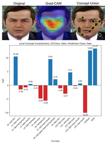 Figure 3: Visualization of the original image, it’s Grad-CAM heatmap and the union of all Concept Presence Maps (top). Logit decomposition into individual concept contributions and the residual term (bottom)