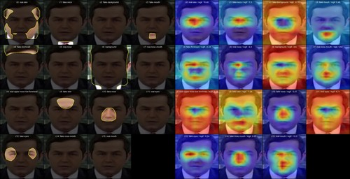 Figure 2: Visualization of Concept Presence Maps (left) and the corresponding Concept Contribution Maps (right). Presence maps indicate the spatial activation of each learned concept, while contribution maps highlight their influence on the model’s prediction.
