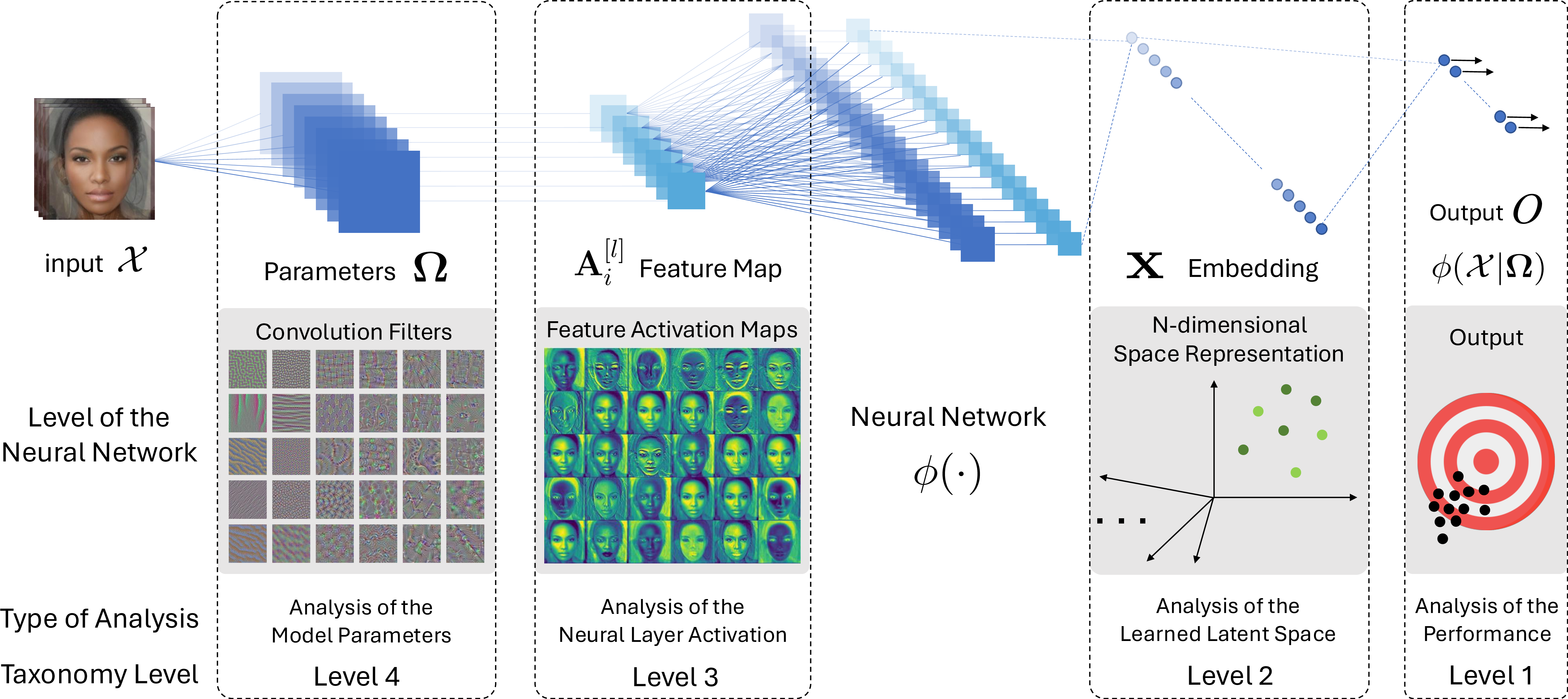 Figure 2: Methodology diagram for analyzing bias at 4 levels: 1) Model Performance; 2) Latent Learned Space; 3) Layer Activations; and 4) Model Parameters.