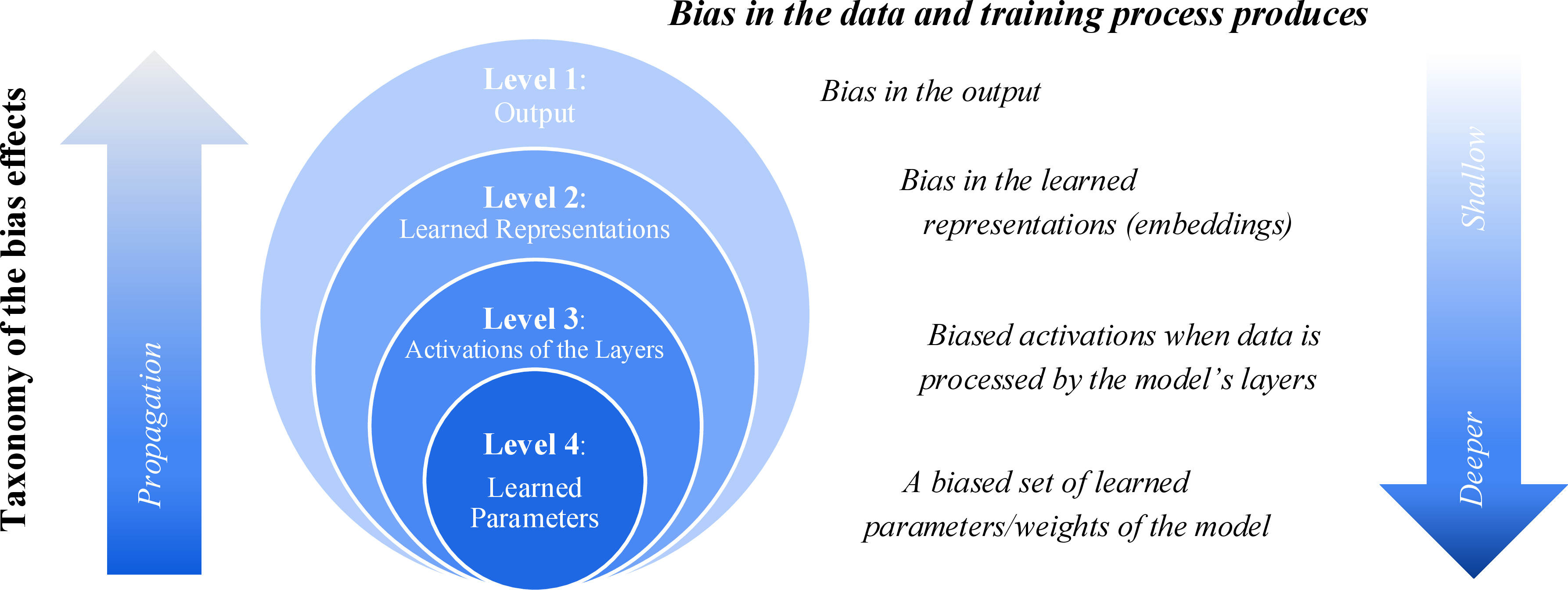 Figure 1: Taxonomy of the effects of bias in the learning process of neural networks.