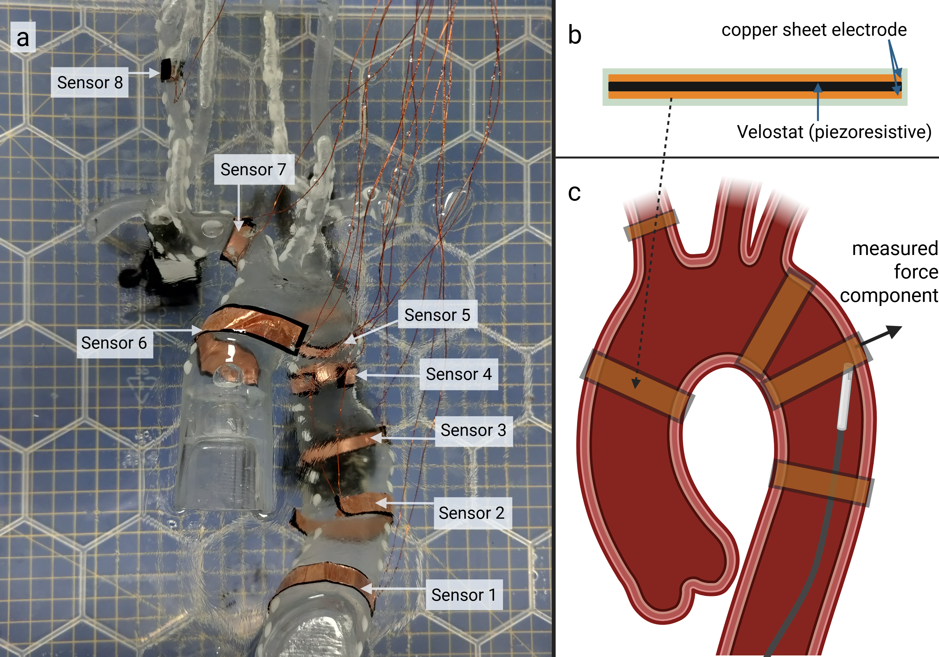 Figure 3: (a) sensorized endovascular phantom with the position of the 8 force sensors (b) piezoresistive force sensors (c) interaction of endovascular device with sensorized phantom.