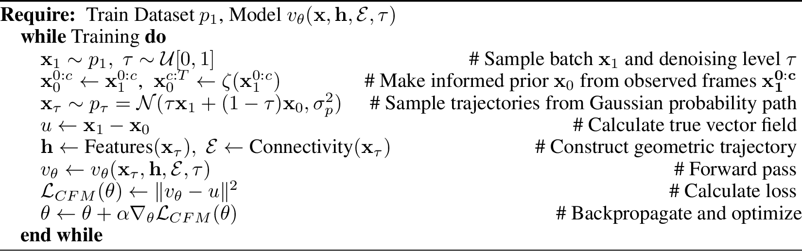 Figure 6: Conditional Flow Matching Training
