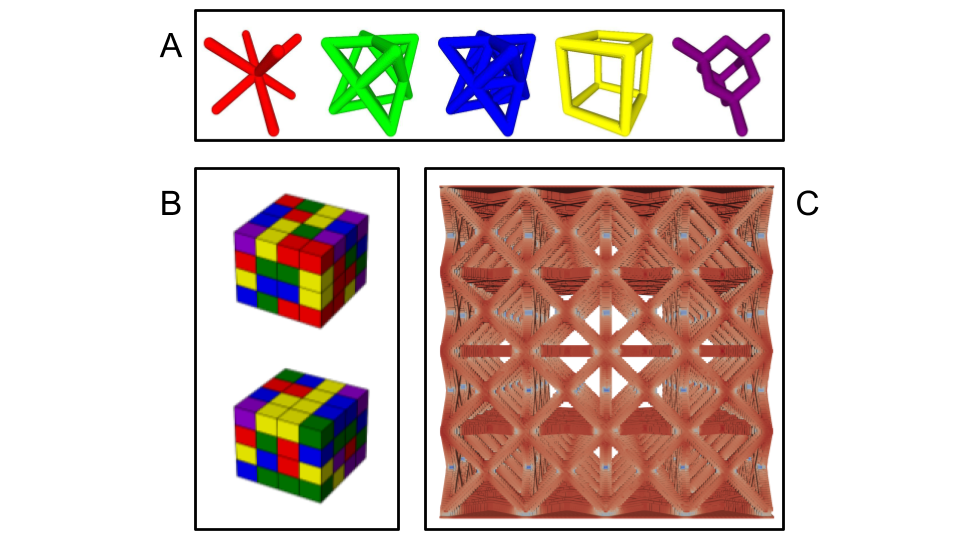Figure 2: Overview of the lattice representation used throughout the optimization framework. (A) Unit cell types used to construct 4 \times 4 \times 4 lattices (BCC, FCC, OT, SC, DIA). (B) Lattice encoding used by GA. (C) Voxelized lattice used in FFT simulations. Adapted from [28].