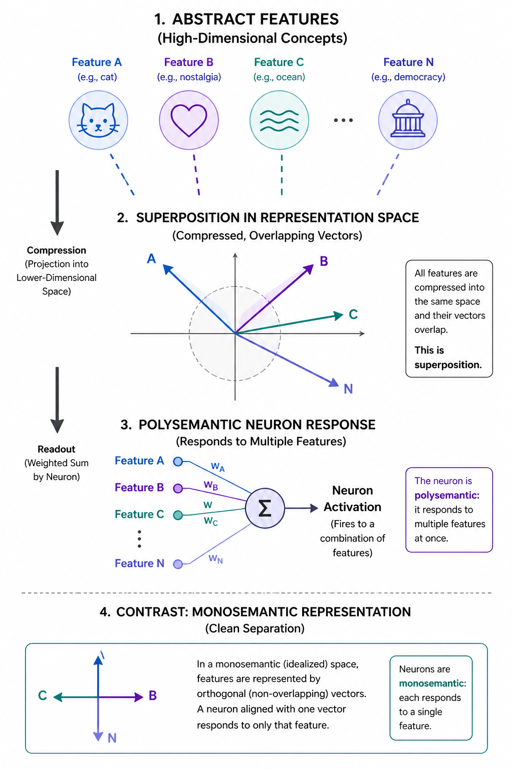 Figure 4: Superposition compresses many features into shared representations, causing individual neurons to become polysemantic.