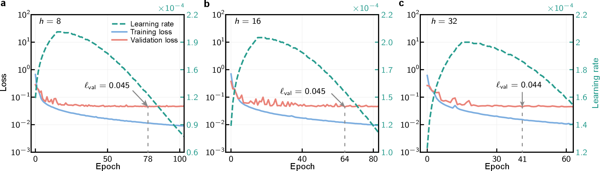 Figure 15: Ablation study of circuit count h for the spherical fluid dynamics benchmark. The system is configured with (n, R, r) = (10, 3, 3). The temporal evolution of the composite loss function \mathcal{L} and the learning rate schedule are shown for (a) h = 8, (b) h = 16, and (c) h = 32. In each panel, the training loss \ell_{\text{train}} (blue solid line) and validation loss \ell_{\text{val}} (red solid line) are plotted against the left axis on a logarithmic scale. The learning rate schedule (green dashed line), featuring a warm-up phase followed by a cosine decay, is shown on the right axis. The annotated \ell_{\text{val}} indicates the terminal validation error achieved at the conclusion of training via an early stopping criterion.
