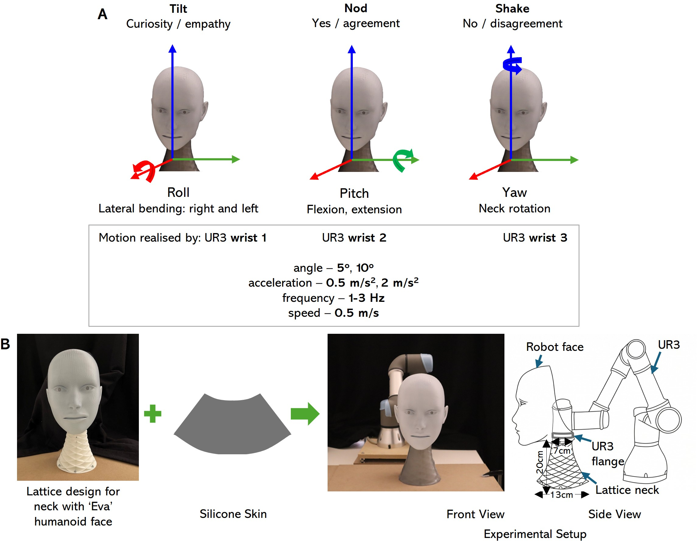 Figure 2: Experimental Protocol A) Neck motion design: The study considers three primary categories of neck movement: roll, pitch, and yaw, along with their commonly perceived meanings. The motion parameters include angular displacement, speed, acceleration, and temporal characteristics such as frequency or number of nods. These movements are physically realized using the joints of the UR3 robotic arm, with each joint corresponding to one of the rotational degrees of freedom. Each neck motion had two magnitudes: 5^\circ and 10^\circ, two accelerations: 0.5 and 2 m/s^2 and three frequencies: once, twice and thrice. The speed was held constant at 0.5 m/s. B) Experimental setup: The setup consists of a robotic head and neck mounted on a UR3 manipulator. The upper end of the neck is attached to the UR3 robot as an end effector, while the lower end is fixed to the table. The neck is constructed using a lattice structure to enable a wide range of motion patterns and is covered with colored silicone skin to achieve a more natural appearance. The UR3 is configured such that wrist joints 1, 2, and 3 correspond to roll, pitch, and yaw motions respectively.