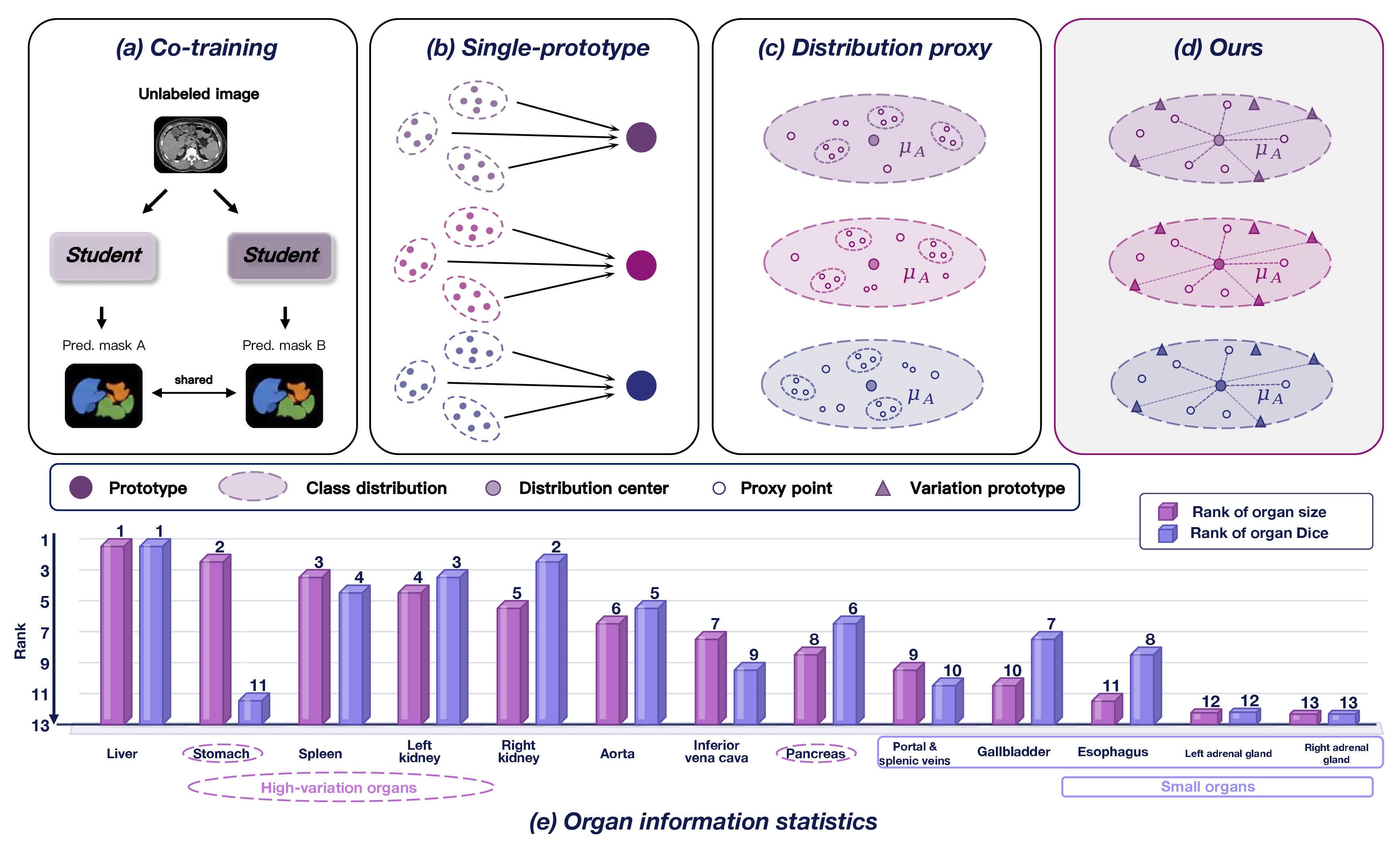 Figure 1: Motivation of the proposed VCDP framework. (a) Co-training methods mainly enforce prediction-level consistency on unlabeled images. (b) Single-prototype methods compress each class into one deterministic representative. (c) Distribution proxy methods model class-level feature distributions but do not explicitly capture intra-class variation. (d) Our method couples distributional proxies with intra-class variation prototypes to better represent fine-grained anatomical patterns. (e) Organ-wise rankings in the Synapse dataset are shown in terms of both foreground organ size and segmentation Dice.
