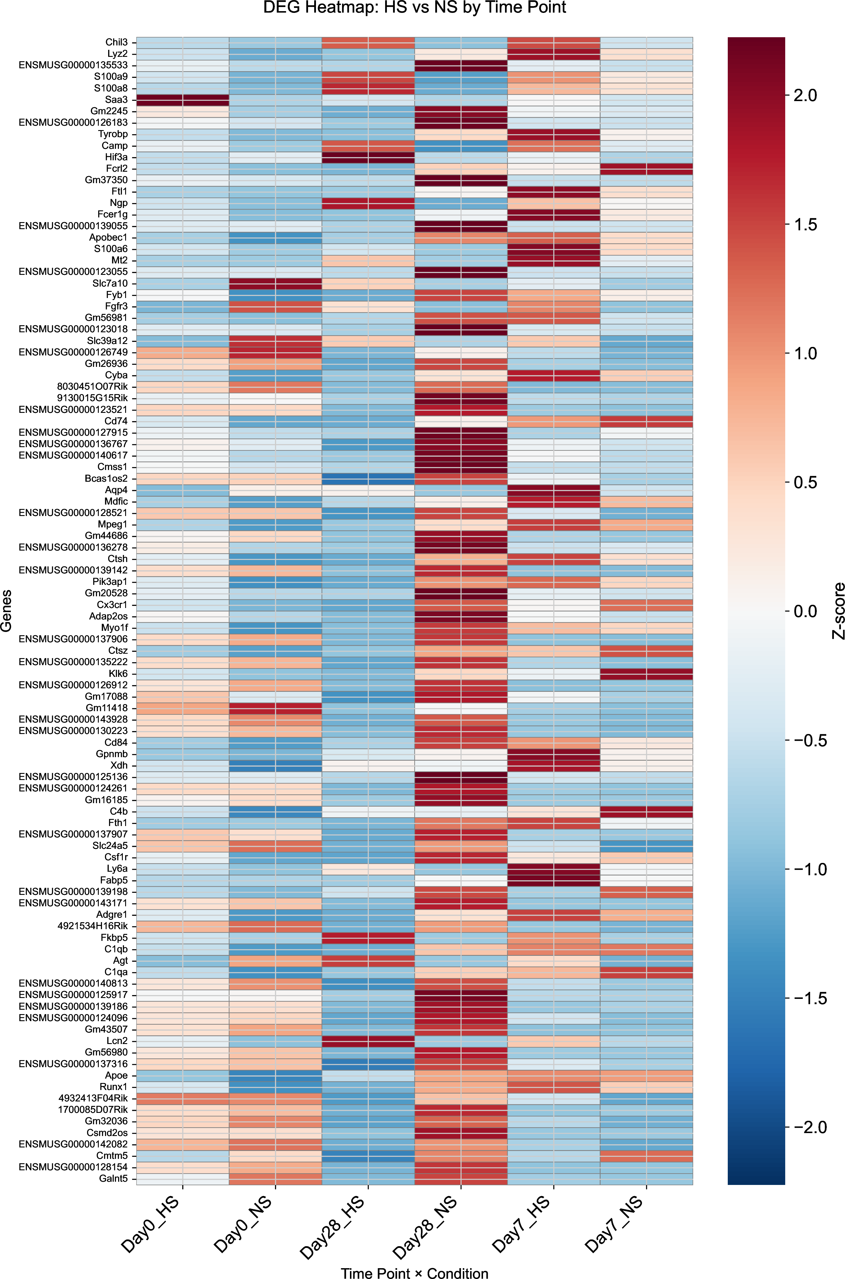 Figure 19: Global DEG heat map of mouse SCI dataset compared with time point and NS/HS.