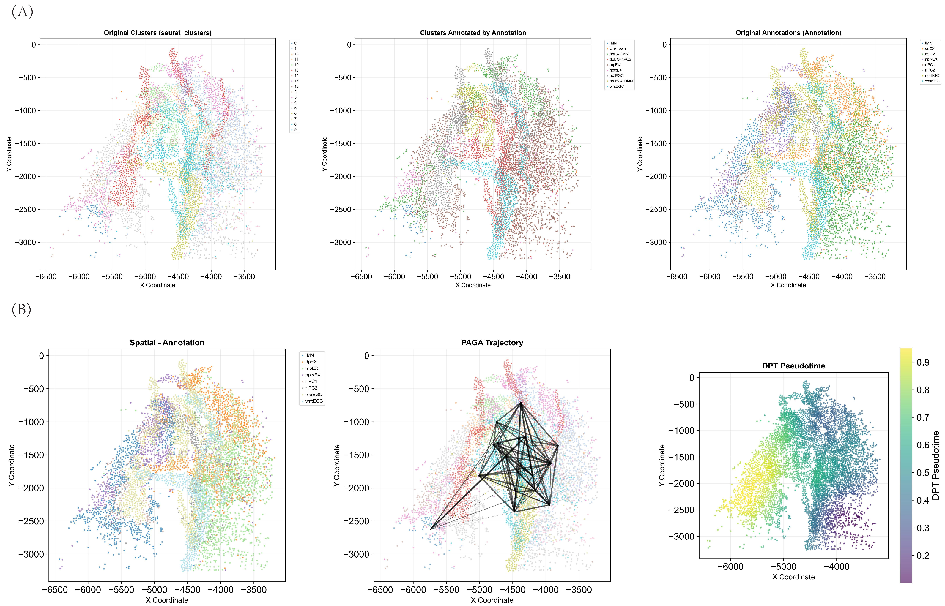 Figure 15: Spatial visualization of clusters, cell annotation by SpaCellAgent and ground truth annotation.