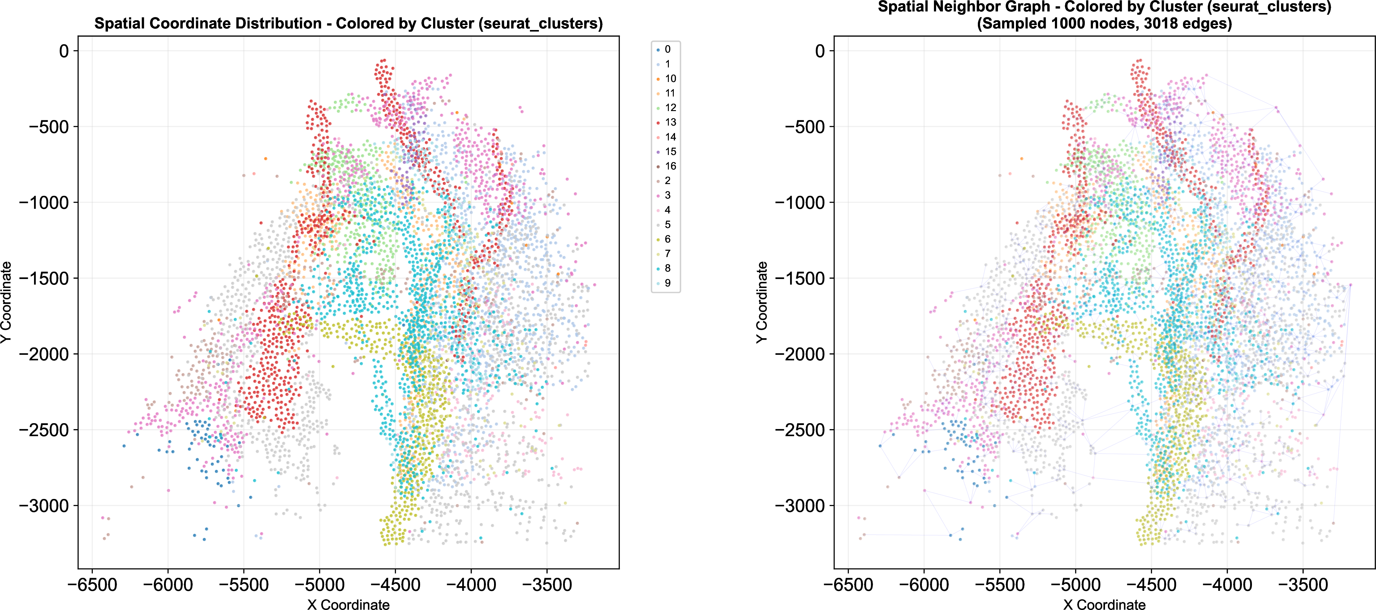 Figure 16: Visualization of spatial topology and neighborhood connectivity from Axolotl Neuron dataset. The left panel displays the spatial coordinate distribution of cells colored by identified clusters, illustrating the physical organization of the tissue. The right panel presents the constructed spatial neighbor graph (visualizing a sampled subgraph of 1,000 nodes and 3,018 edges for clarity), where edges denote physical proximity. This graph structure serves as a critical constraint for downstream analysis, ensuring that inferred trajectories respect the biological reality of spatial continuity.
