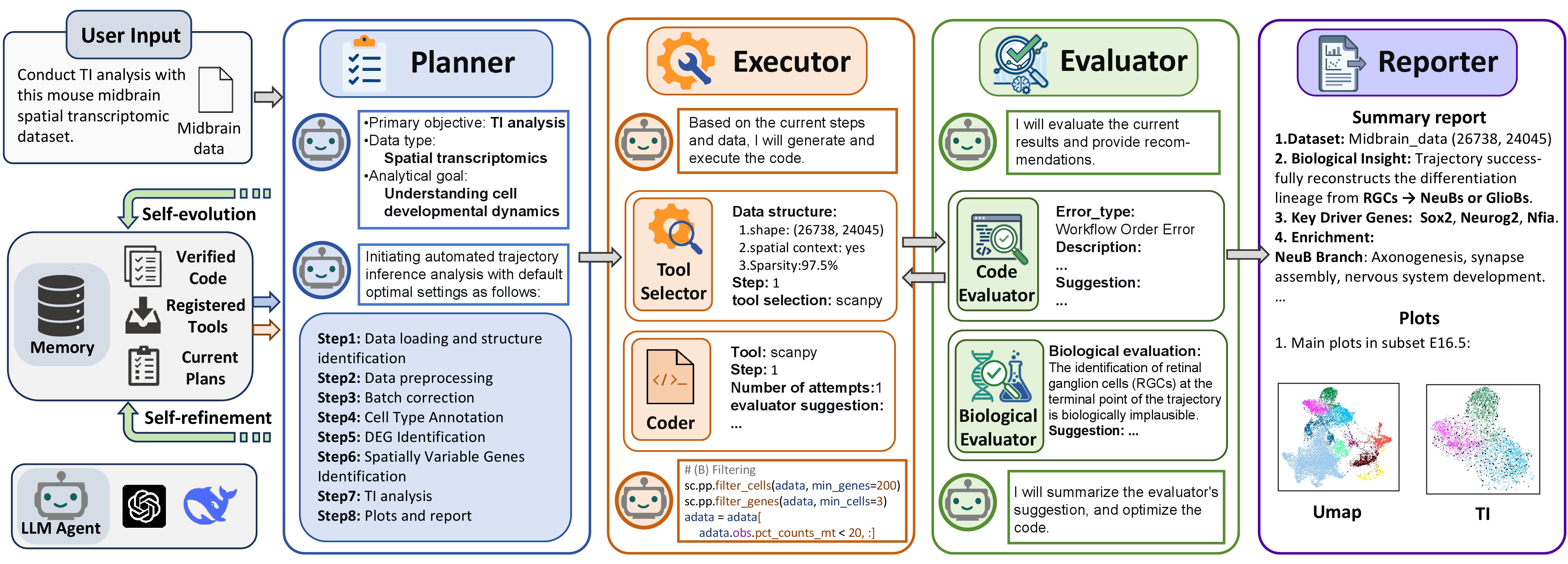 Figure 2: The framework of SpaCellAgent. The planner decomposes user queries into executable steps for the executor, while the evaluator enforces dual verification for syntactic and biological validity. The reporter then synthesizes the final biological insights. Arrows are color-coded: blue (input for planner), orange (input for executor), and green (evaluator’s feedback for self-refinement and self-evolution). Validated plans are archived in dual-layer memory to drive self-evolution.