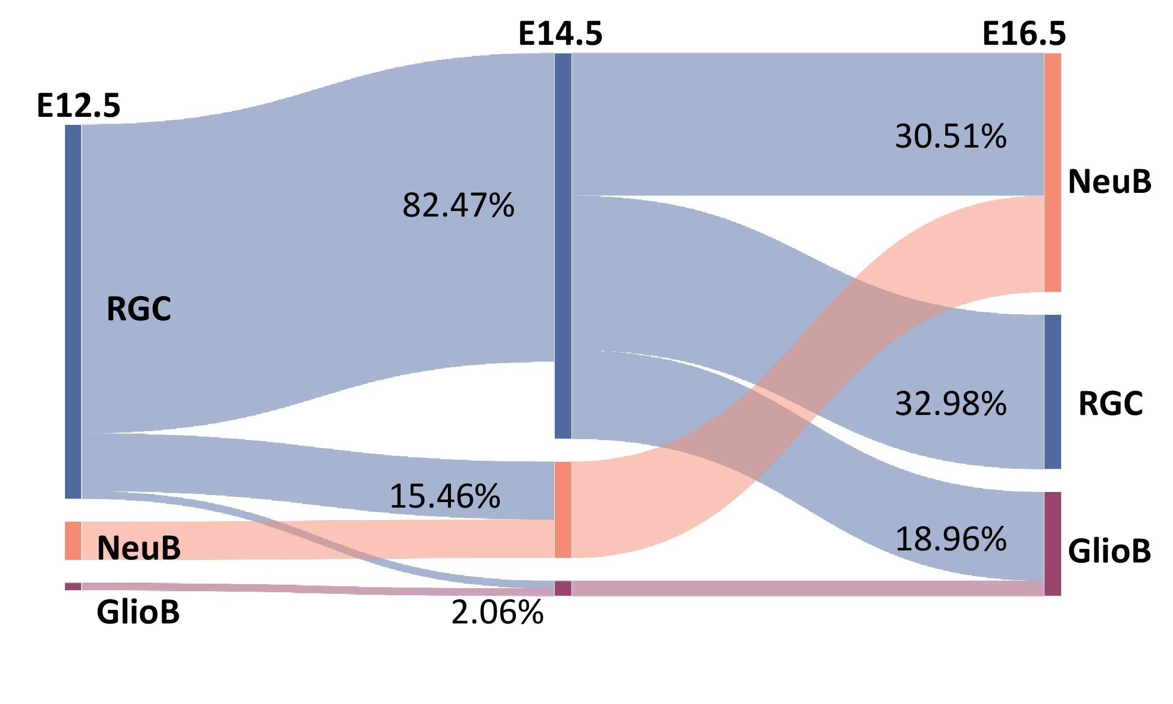 Figure 5: Sankey diagram illustrating the temporal lineage transitions and cell fate proportions across the three embryonic stages.