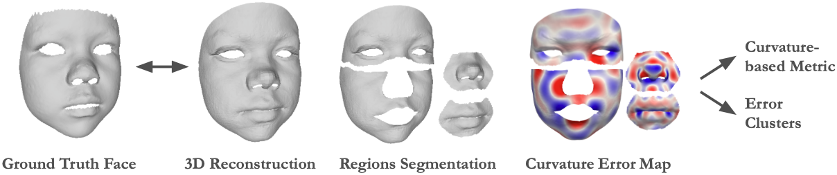 Figure 1: Overview of our curvature-aware evaluation framework for bias discovery. Given a ground truth scan and its corresponding 3D reconstruction, we perform an anatomical segmentation of the reconstructed mesh. We compute Curvature-Based Error Maps using the Laplace-Beltrami Operator to isolate localized geometric discrepancies that Euclidean metrics often overlook. By performing spectral clustering on these error maps, we identify distinct failure modes and correlate them with demographic factors.