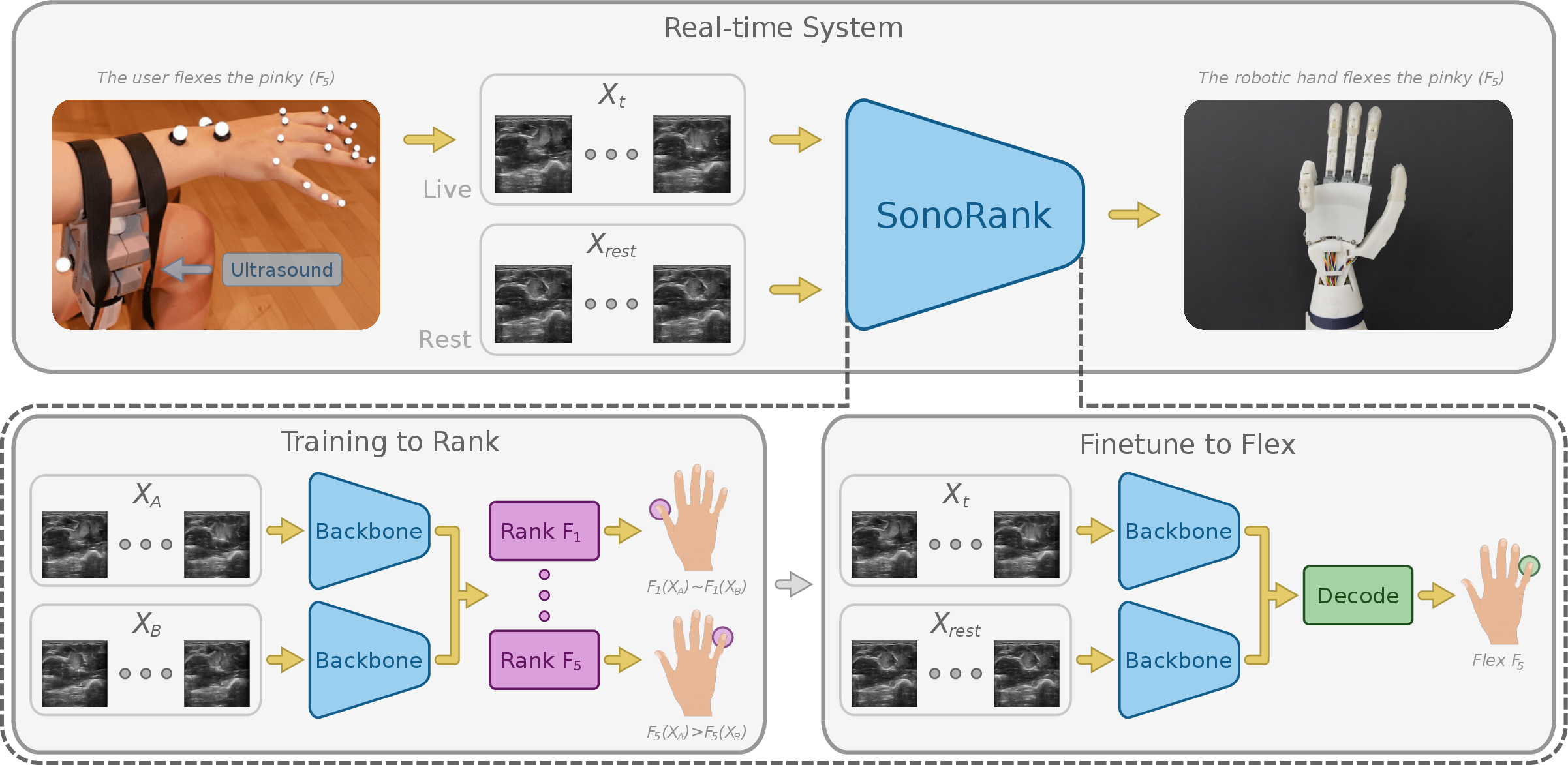 Figure 2: Overview of the SonoRank framework. (Top) Real-time operation: a forearm ultrasound probe captures a live sequence X_t while the user flexes a finger. Together with a pre-recorded rest reference X_{\text{rest}}, both sequences are fed into SonoRank, which outputs per-finger flexion decisions that drive a robotic hand. (Bottom left) Stage 1, training to rank: two ultrasound sequences X_A and X_B are encoded through a shared backbone, and five parallel ranking heads (one per finger, F_1, \ldots, F_5) learn to predict which sequence exhibits greater flexion for each finger. (Bottom right) Stage 2, fine-tuning to flex: the ranking heads are replaced by a classification head (Decode) that receives the concatenated embeddings of X_t and X_{\text{rest}} and predicts which fingers are actively flexing.