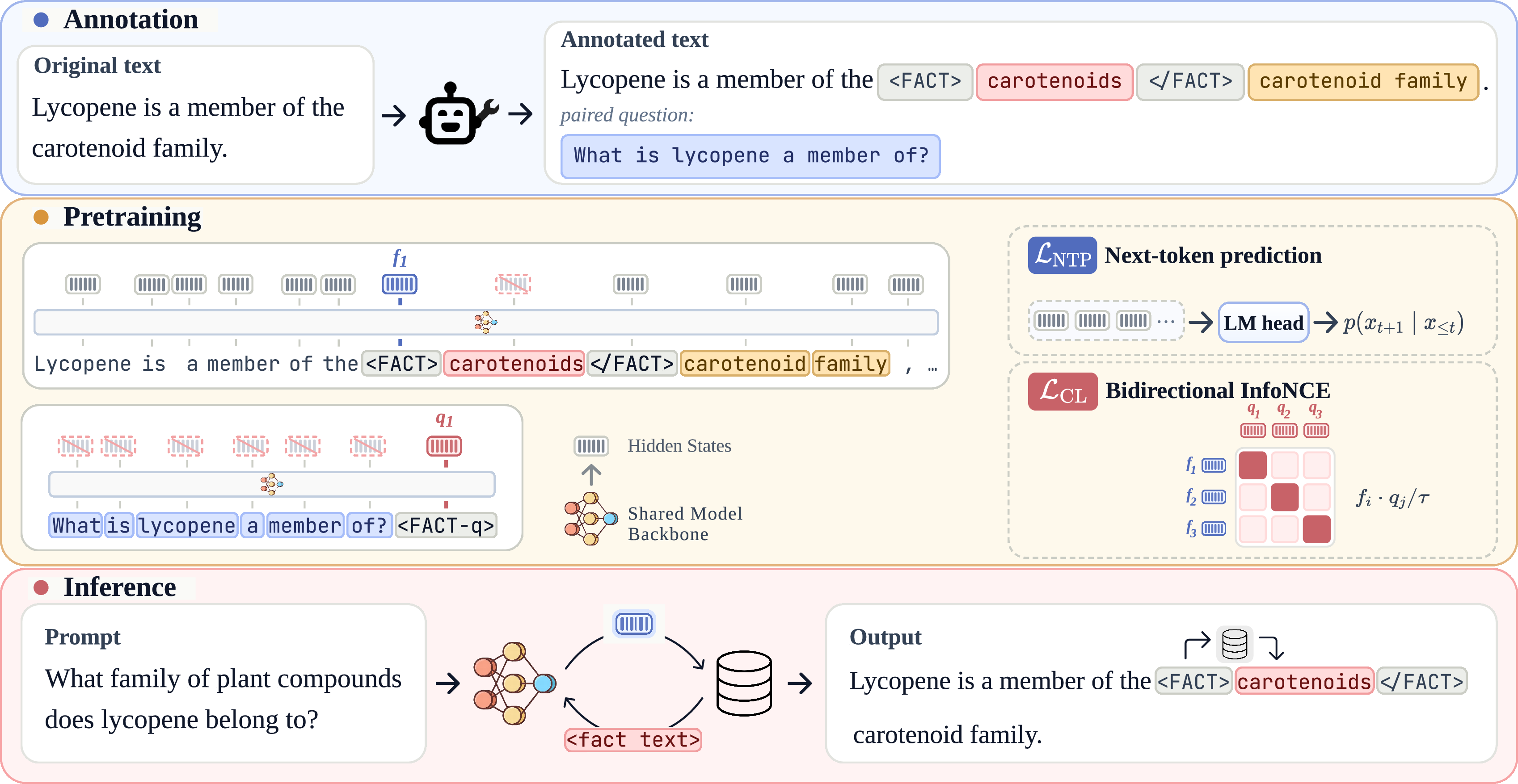Figure 2: Overview of Co-LMLM. Top: We annotate the pre-training corpus with fact spans and paired questions, while leaving the document text unchanged. Middle: During training, a single decoder-only Transformer processes both the annotated document and its paired questions. We optimize next-token prediction over non-fact tokens and a bidirectional InfoNCE loss that aligns the query representation at each <FACT> token with the question representation at the corresponding <FACT-q> token. Bottom: At inference, emitting <FACT> triggers dense retrieval using the hidden state at the emitted <FACT> position as the query. The retrieved fact span is inserted into the context, followed by </FACT>, and decoding continues. No textual query is decoded.