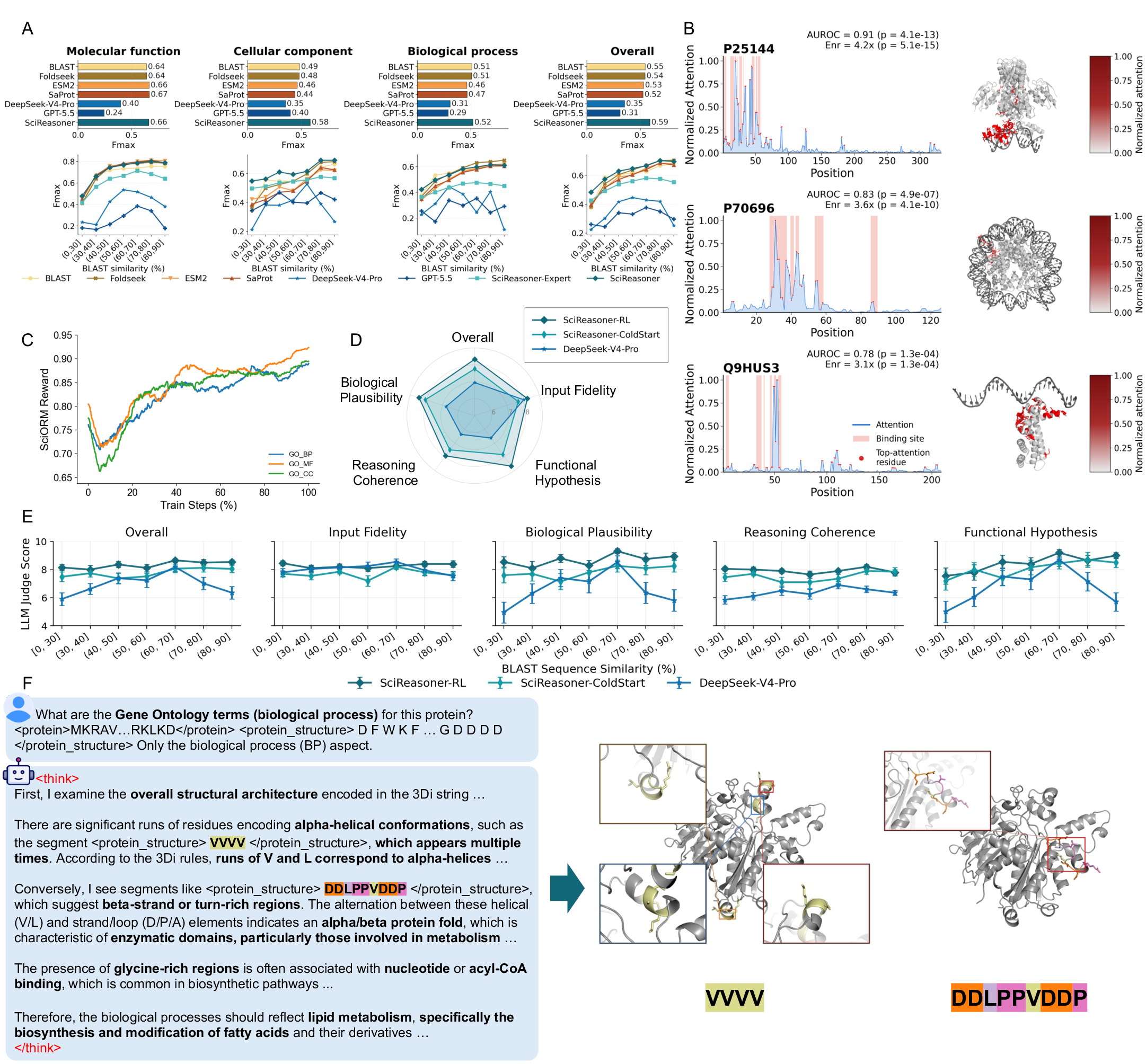 Figure 1: SciReasoner predicts protein Gene Ontology terms through structure-grounded reasoning. (A) Performance on the CAFA-3 Gene Ontology benchmark for Molecular Function, Biological Process and Cellular Component annotations, stratified by maximum BLAST sequence identity to the training set. SciReasoner shows the largest gains in low-homology regimes, particularly for Cellular Component prediction. (B) Attention analysis for DNA-binding Gene Ontology prediction. Residues receiving high attention are enriched at contact-defined DNA-binding sites and localize to protein–DNA interfaces in representative complexes. (C) Reinforcement-learning trajectories for the three ontology aspects. Rewards increase after an initial exploration phase and converge to stable plateaus, indicating consistent optimization across molecular-function, biological-process and cellular-component annotations. (D) LLM-as-judge evaluation of reasoning traces on held-out Biological Process proteins. Reinforcement learning improves input fidelity, biological plausibility, reasoning coherence and functional-hypothesis quality relative to the coldstart checkpoint and DeepSeek-V4-Pro. (E) Reasoning-quality scores stratified by BLAST similarity for Biological Process prediction. Mean GPT-5.5 judge scores are reported on five rubric axes across seven similarity bins relative to the training set (n=20 proteins per bin; error bars, s.e.m.). SciReasoner-RL achieves the highest scores across axes and remains stable across similarity bins, suggesting that its reasoning generalizes beyond memorized homologues. (F) Structure-token visualization of the reasoning trace for E. coli \beta-ketoacyl-ACP synthase I (FabB; 2bz4_A, UniProt P0A953). Load-bearing claims and cited 3Di-token fragments are highlighted in the trace and mapped onto PyMOL-rendered structures. The VVVV fragment maps to canonical \alpha-helices, whereas DDLPPVDDP maps to an extended-strand/turn region, supporting the inferred \alpha/\beta fold and the resulting fatty-acid biosynthesis annotation.