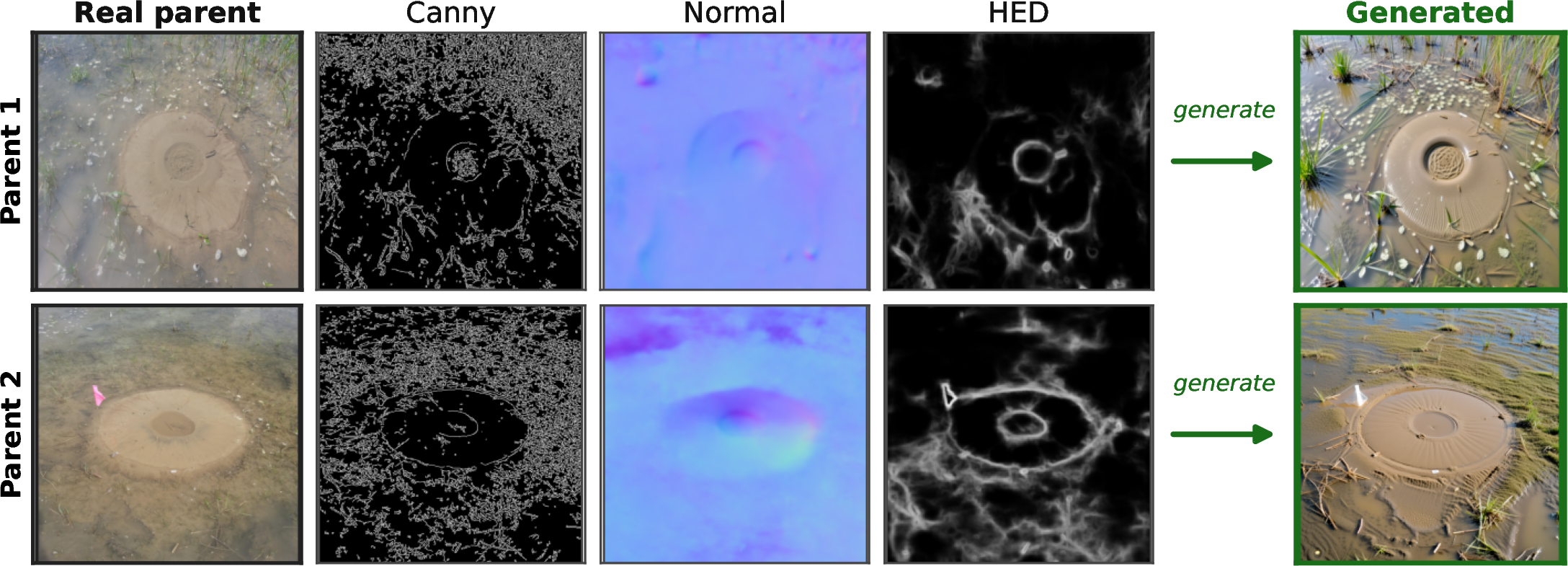 Figure 5: ControlNet conditioning for two real sand boil parents. Each row shows the real parent and its three control maps (Canny edges, surface normal, and HED soft edges) that jointly condition the DreamBooth-LoRA SDXL generator (trigger “sbx sandboil”) to produce the synthetic output (green frame).