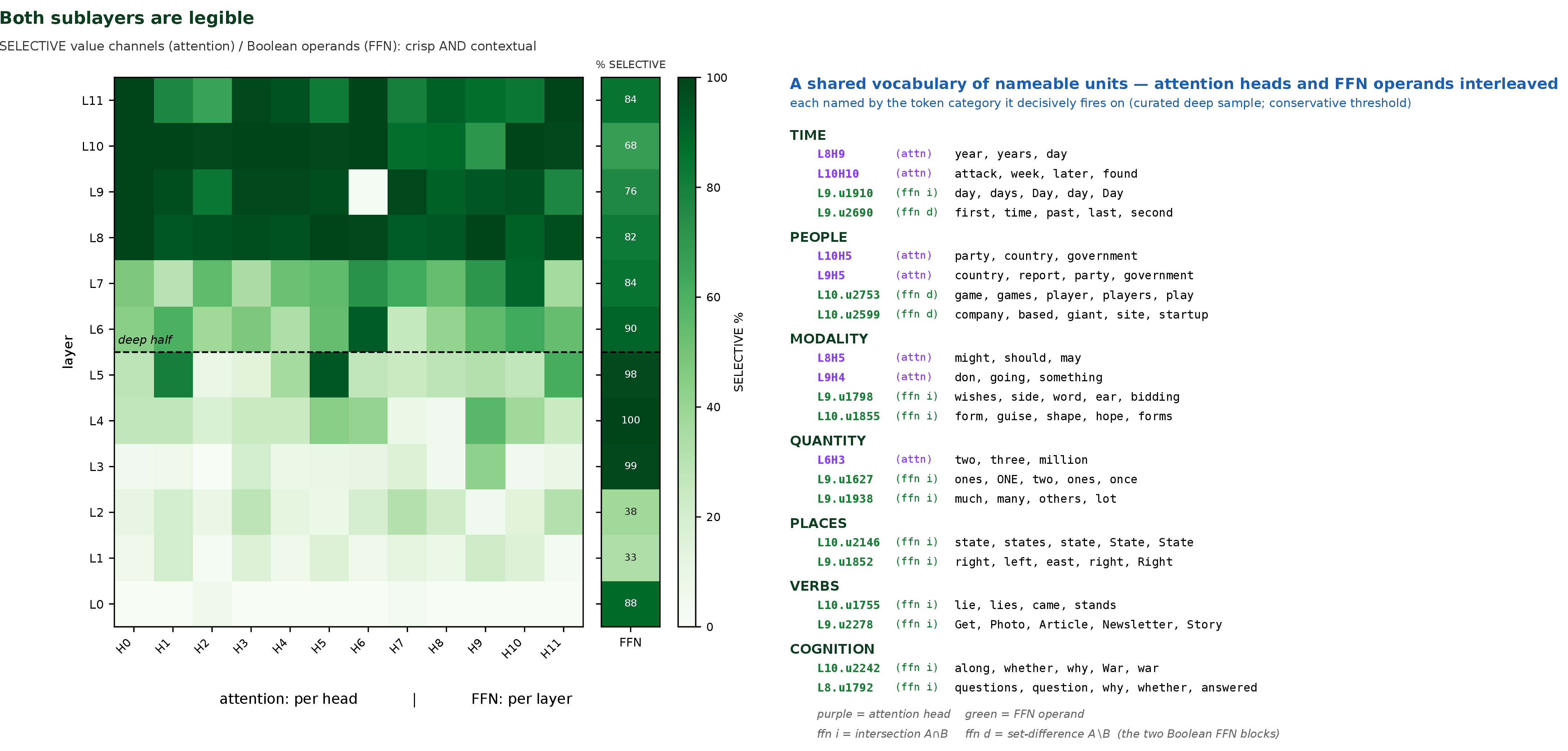 Figure 7: Legibility of the annealed model on both sublayers. Left: the fraction of selective (crisp and contextual) channels per attention head (12\times12 grid) and per feed-forward layer (the adjacent strip, on the same colour scale; each strip cell is annotated with that layer’s selective percentage). Attention legibility rises with depth — shallow (L0–L5) 18\% against deep (L6–L11) 78\% — while feed-forward legibility is high across most of the stack (\ge82\% for L3–L8) and dips only at the earliest two layers. Right: a curated sample of nameable deep units, attention heads (purple) and feed-forward units (green) interleaved under shared categories, each labelled by the token category it decisively fires on. Feed-forward units are tagged by their Boolean block — ffn i for the intersection A\cap B, ffn d for the set-difference A\setminus B. A channel is selective when its activation variance is at least 0.003 and over half its mass lies within 0.1 of a rail; category labels use each unit’s decisively-fired tokens (attention) or its logit-lens-promoted tokens (feed-forward, [35]). The sample is curated to the strongest per category (15 of 72 deep heads and {\sim}7000 feed-forward units are nameable by this seven-way dictionary); the feed-forward strip is per-layer, coarser than the per-head attention grid. The near-white deep head (L9H6, {\sim}1.6\%) is a genuine non-selective outlier among its highly selective neighbours, not missing data. The attention panel extends the per-head legibility map of [2] to the model trained with our objective, to the feed-forward sublayer, and to a merged catalog.