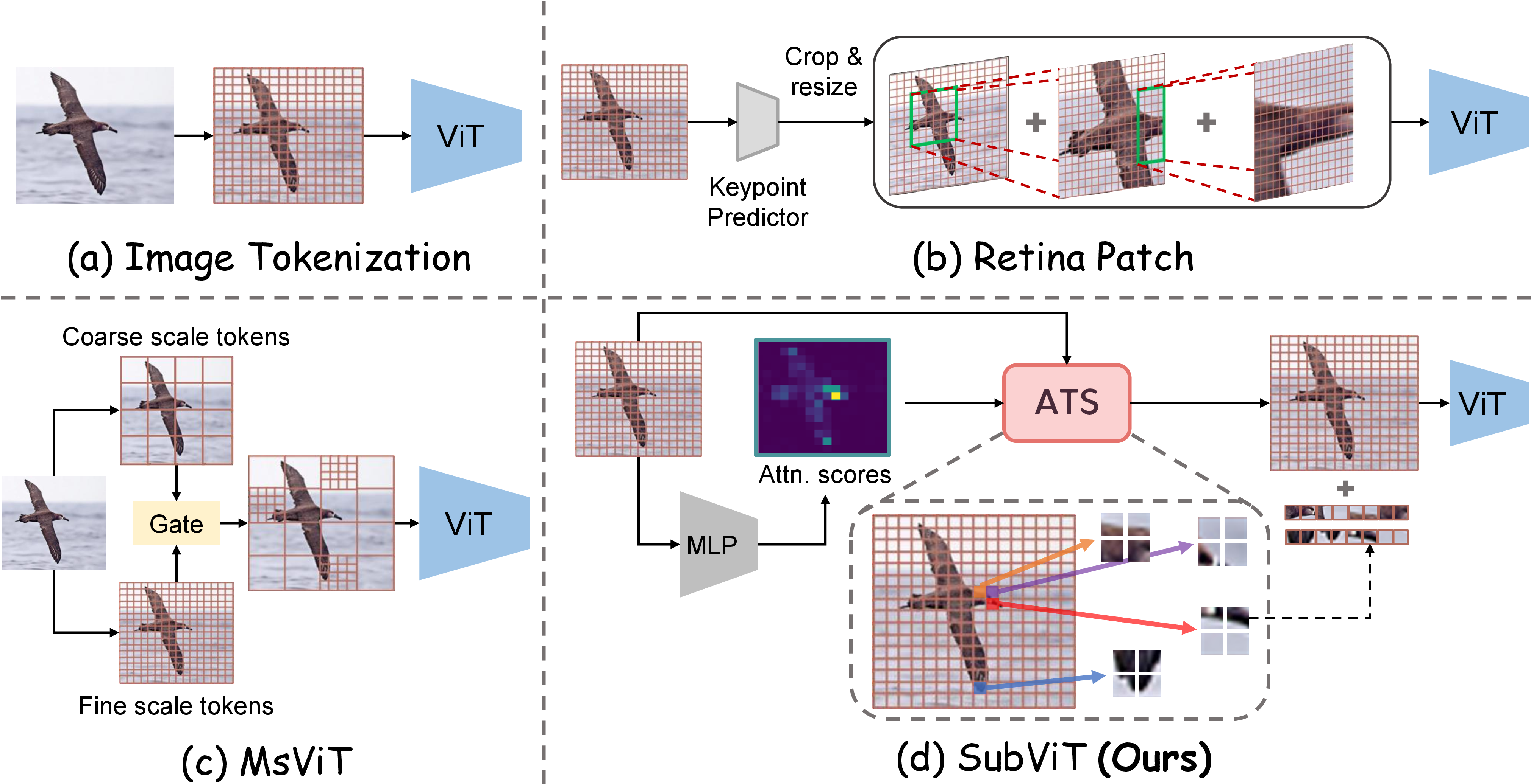 Figure 1: Motivation of SubViT. Instead of densely tokenizing multiple image scales, SubViT identifies discriminative patches using attention supervision during training and a learned router at inference. Attention-based Token Subdivision (ATS) allocates additional subtokens only to selected patches while retaining the original tokens for global context.
