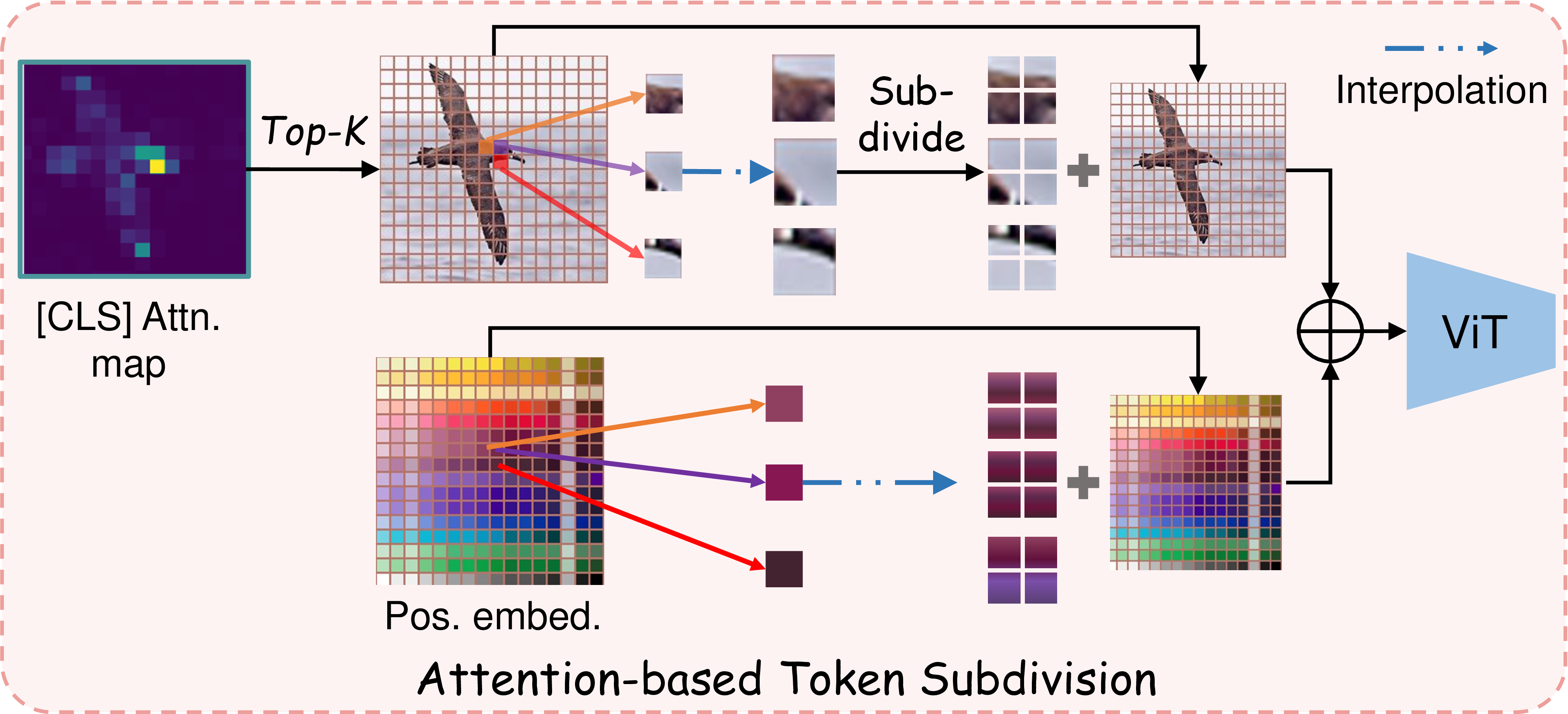 Figure 2: Overview of ATS. We select the top-K patches based on the attention map for subdivision. We select the neighboring positional embedding for interpolation purposes.