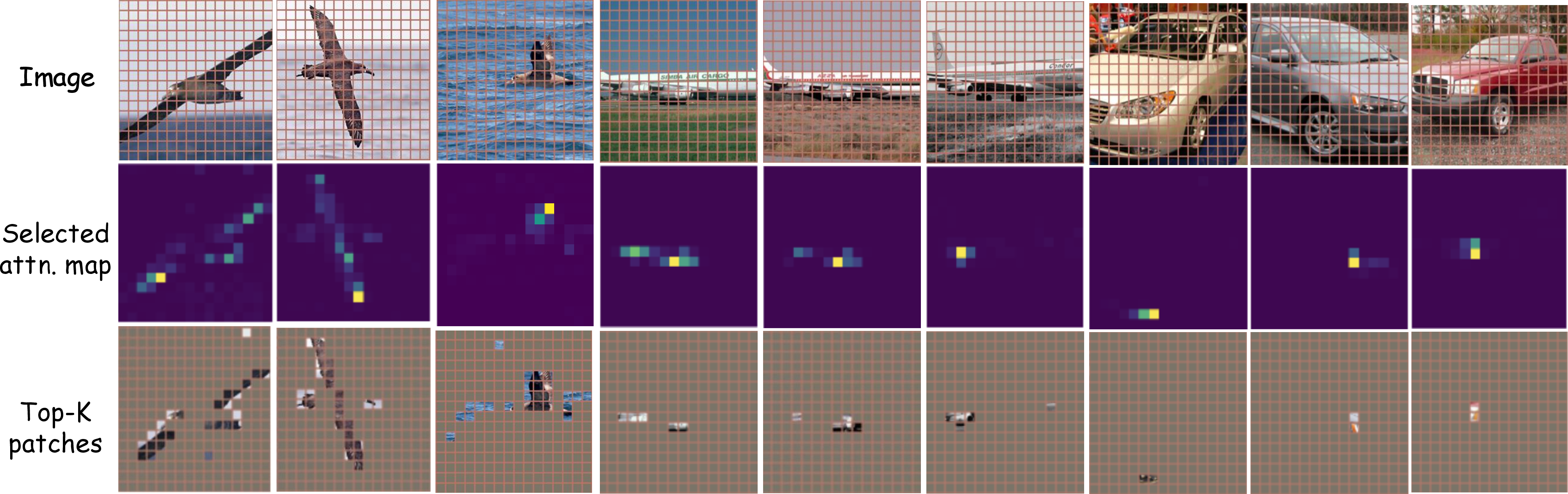 Figure 5: Visualization of attention map selection. K=10\% for CUB, 2\% for Aircraft, and 1\% for SCars. SubViT demonstrates consistent semantic region selection across instances through the token subdivision. Zoom in for a better effect.