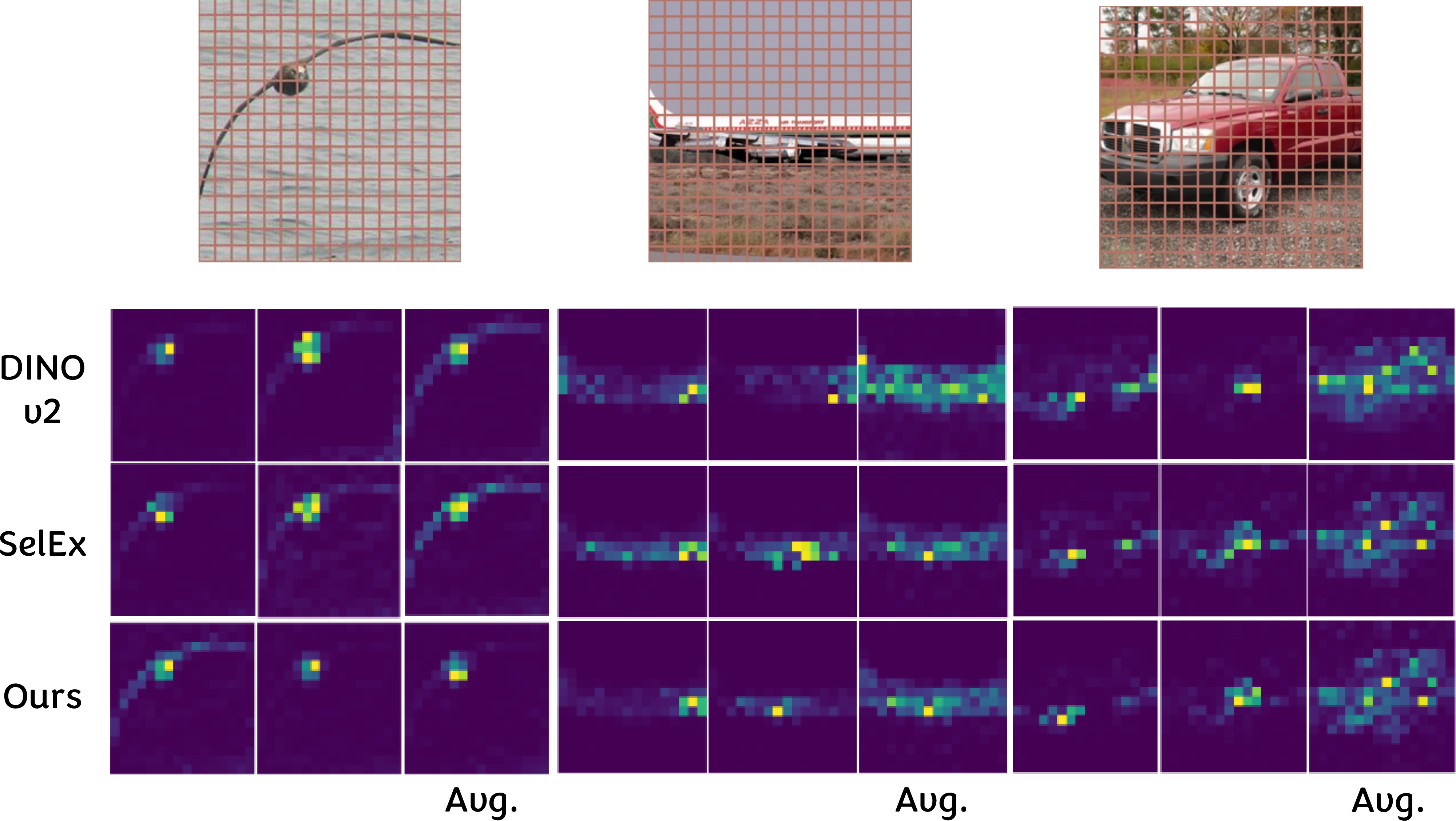 Figure 4: Attention map comparison of pretrained DINOv2, SelEx, and SubViT on CUB, Aircraft, and SCars. For each example, we show the CLS attention of representative heads in the last layer and the head-averaged map (Avg.). SubViT concentrates attention on fine-grained object regions with more compact and peaked responses, whereas the baselines spread attention over background context.