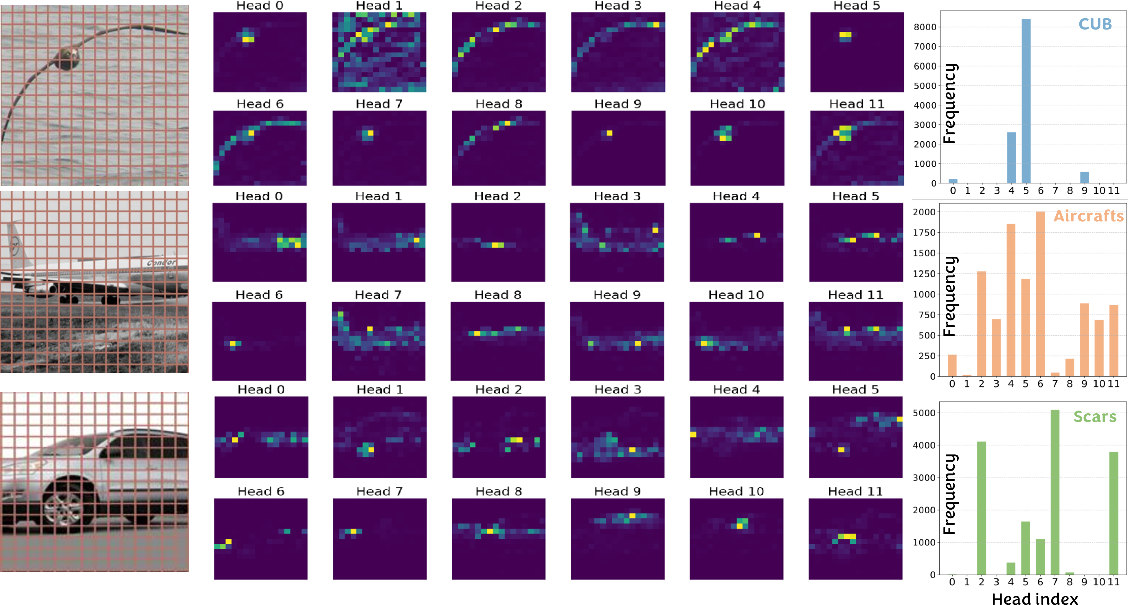 Figure 6: Distributions of head selection frequency. The head selection distribution pattern implies the varying importance of different heads for the target datasets. We select one example from each dataset to visualize the attention pattern of each head in the last layer of DINOv2.