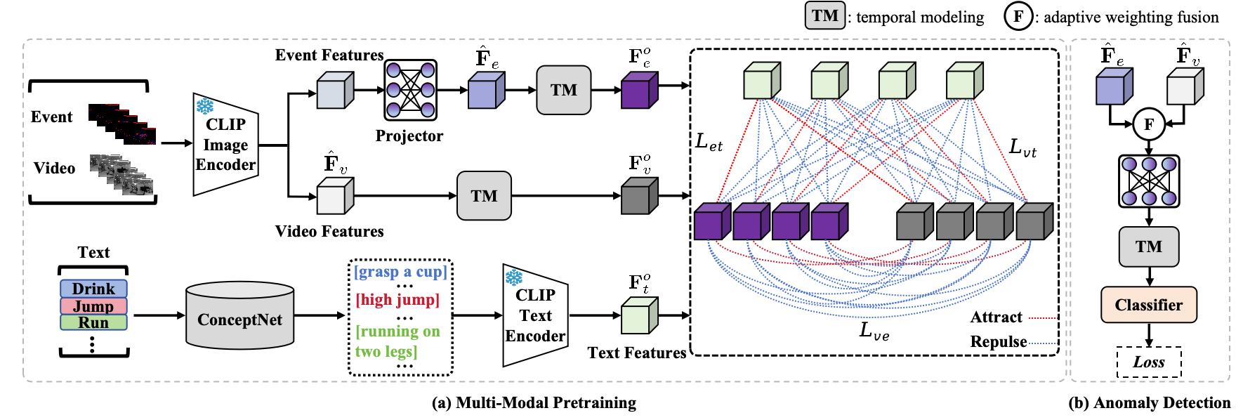 Figure 2: An overview of the proposed E-VAD framework via collaboration of visible and event frames, which comprises two key modules: (a) a multi-modal pretraining module and (b) an anomaly detection module. For event and video frames, features are initially extracted using the CLIP image encoder. Event features \boldsymbol{F}_e are projected to align with the latent space of CLIP image encoder. The projected event features \hat{\boldsymbol{F}}_e and video features \hat{\boldsymbol{F}}_v are then fed into a temporal modeling (TM) module to capture temporal dependencies and contextual interactions, yielding \boldsymbol{F}_e^o and \boldsymbol{F}_v^o. For text processing, ConceptNet extracts semantically relevant concepts, encoded via the CLIP text encoder to obtain \boldsymbol{F}_t^o. After acquiring these tri-modal features, pairwise contrastive losses (L_{et}, L_{vt}, L_{ve}) are computed to optimize the pretraining module. Post-pretraining, refined event features \hat{\boldsymbol{F}}_e are derived, followed by adaptive weighting fusion of event features \hat{\boldsymbol{F}}_e and video features \hat{\boldsymbol{F}}_v. A projector adjusts these fused features for anomaly detection, after which the TM module captures residual temporal dependencies. Finally, anomaly scores are generated via a classifier, and the detection loss is computed for optimization.