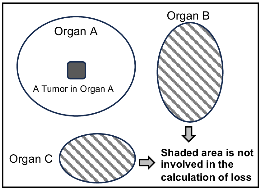 Figure 4: Illustration of the masked loss strategy for class-agnostic lesion segmentation.