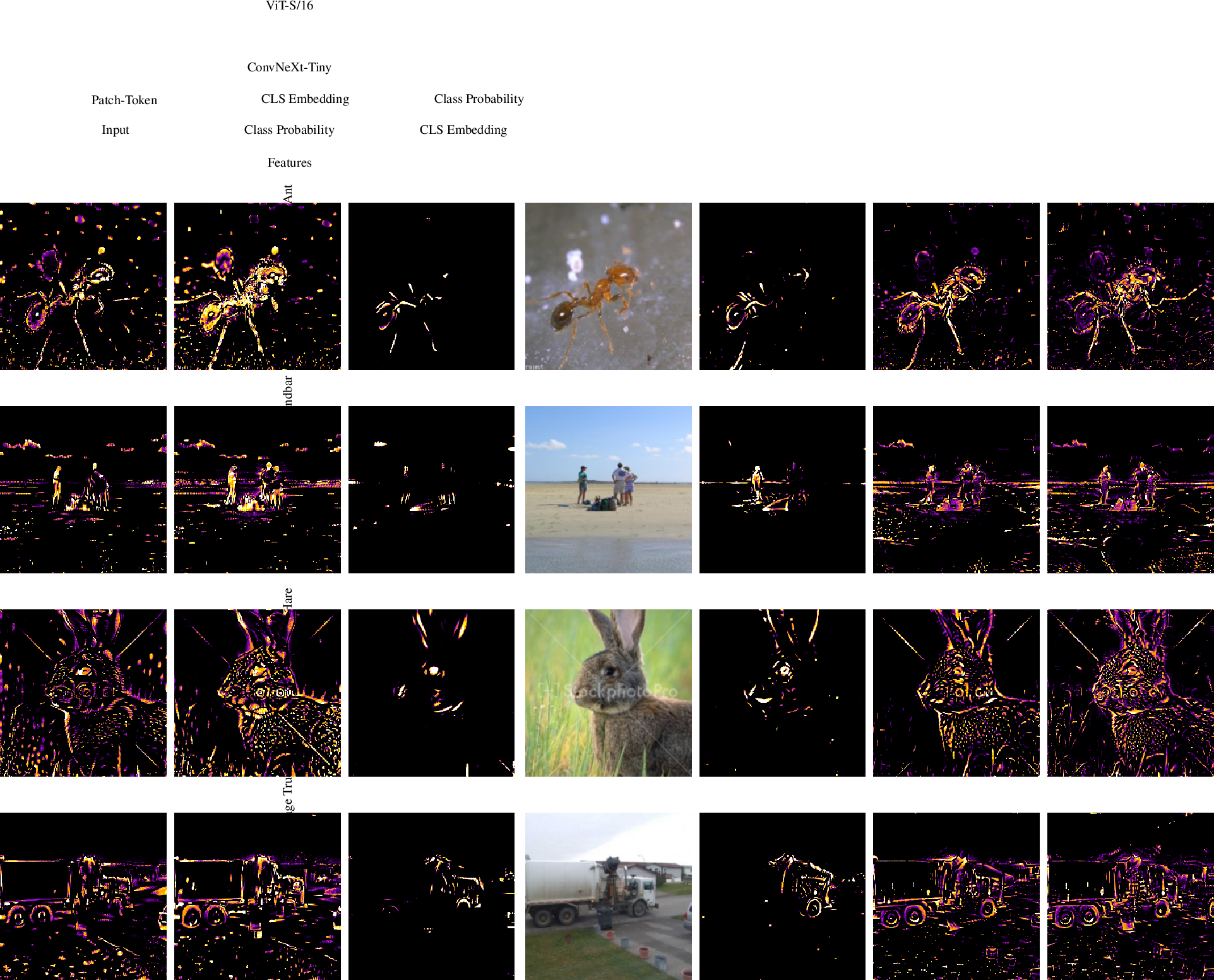 Figure 6: Cross-architecture saliency. Each row: one of four ImageNet validation images. Column 1: original. Columns 2–4: ViT-S/16 masks under g\!=\!p_c, g\!=\!f_{\text{CLS}}, g\!=\!f_{\text{tok}}. Columns 5–7: ConvNeXt-Tiny masks under the same three targets. Only the encoder (and its input normalisation) differs between the two sets of columns; all other hyperparameters are identical. Quantitative agreement is in 3; insertion/deletion AUCs in 1.