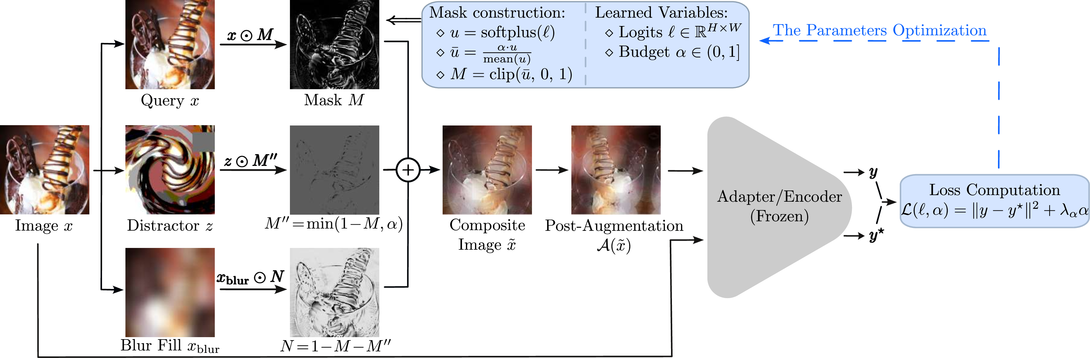 Figure 3: Overview of the SEAMS framework. The target representation y^{\star} is first computed from the original image and then kept fixed. A learnable soft mask determines which pixels are preserved, replaced by a self-generated distractor, or substituted with blurred context. The resulting composite image is augmented and evaluated by the frozen model. Optimisation updates only the mask logits and the sparsity budget, encouraging a compact image region that remains sufficient to preserve the selected target representation.