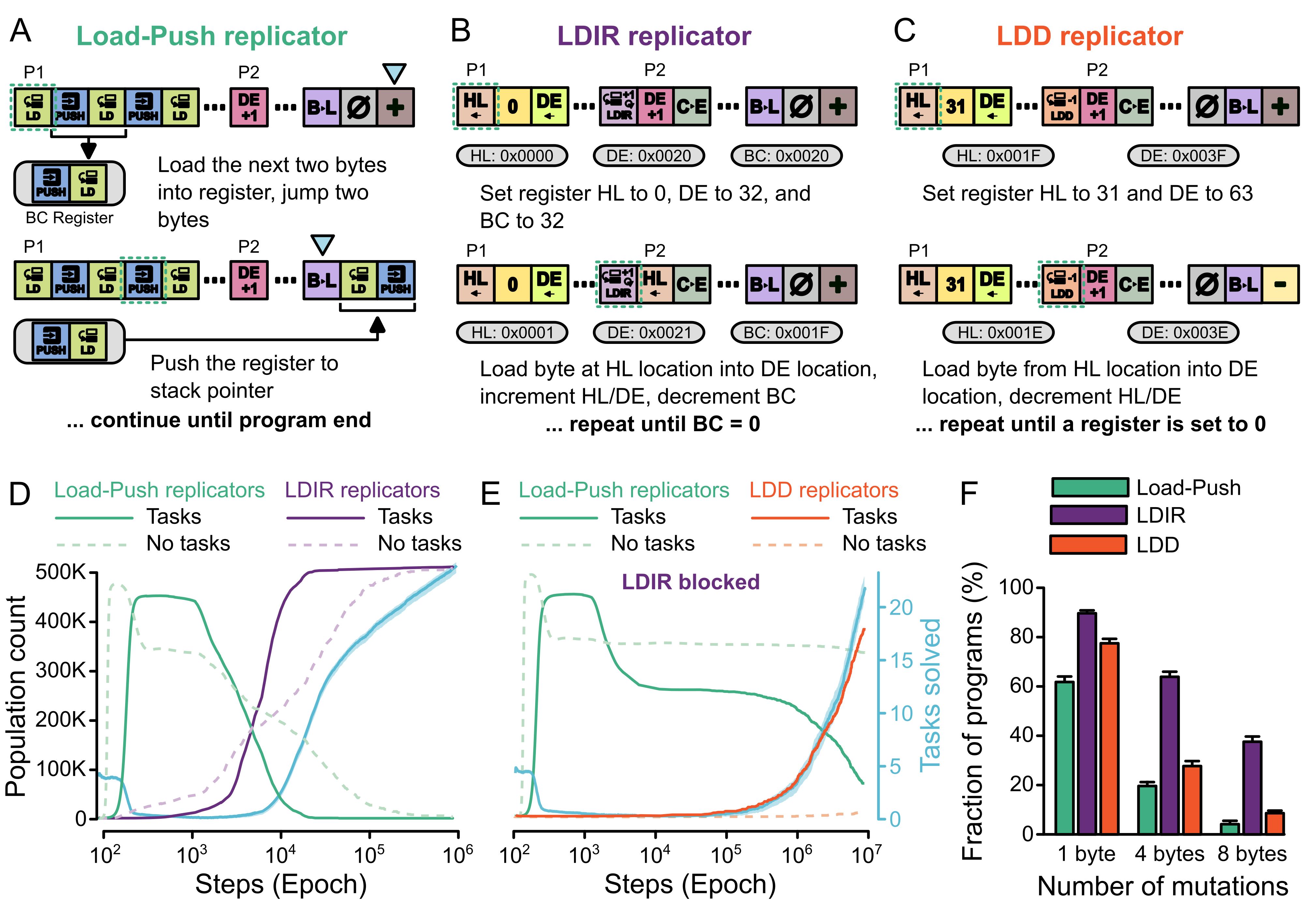 Figure 2: Emergence of self-replicators and accelerating effect of tasks: (A) Illustration of a Load-Push replicator. (B) Illustration of a LDIR replicator. (C) Illustration of an LDD replicator. (D) Populations of Load-Push and LDIR replicators over time, with and without tasks. Data shown is mean over 100 seeds. Number of tasks solved also shown as mean \pm 95% C.I. (E) Populations of Load-Push and LDD replicators over time with and without tasks, when LDIR replicators are blocked. Data shown is mean over 100 seeds. Number of tasks solved also shown as mean \pm 95% C.I. (F) Percentage of programs with no replication errors following one byte mutation (left), four byte mutations (middle), and eight byte mutations (right) for Load-Push, LDIR, and LDD replicators. Error bars represent 95% Wilson score intervals. LDIR replicators were significantly more robust than LDD, which in turn were significantly more robust than Load-Push across all mutation levels (one-sided two-proportion Z-test with Bonferroni correction; n = 100 per group; all pair-wise comparisons showed p < 0.05 after correction, max adjusted p = 0.042 for LDD vs. Load-Push at 8 mutations).