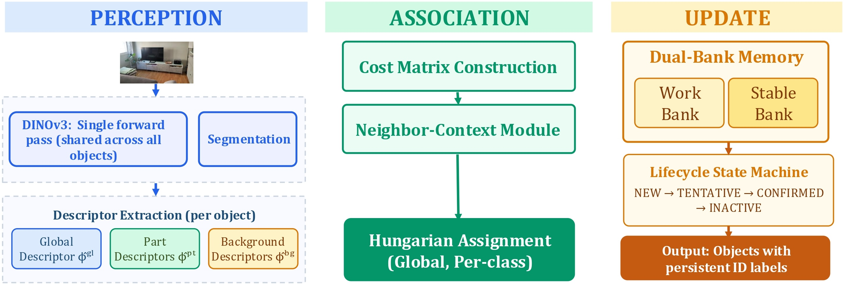 Figure 2: End-to-end REMIND pipeline. Perception: a single forward pass of a frozen DINOv3 ViT-S/16 produces patch features shared across all objects in the frame, while a YOLO segmentation detector supplies per-object masks; for each detection, the system extracts complementary global (\hat{\boldsymbol{\phi}}^{\mathrm{gl}}), part (\hat{\boldsymbol{\phi}}^{\mathrm{pt}}), and background (\hat{\boldsymbol{\phi}}^{\mathrm{bg}}) descriptors. Association: a multi-channel cost matrix is enriched with neighbour-context evidence before the Hungarian algorithm solves the bipartite assignment globally and per class. Update: matched detections feed a dual-bank (work/stable) memory and advance each track through the New\toTentative\toConfirmed\toInactive lifecycle, producing a frame annotated with persistent identity labels.