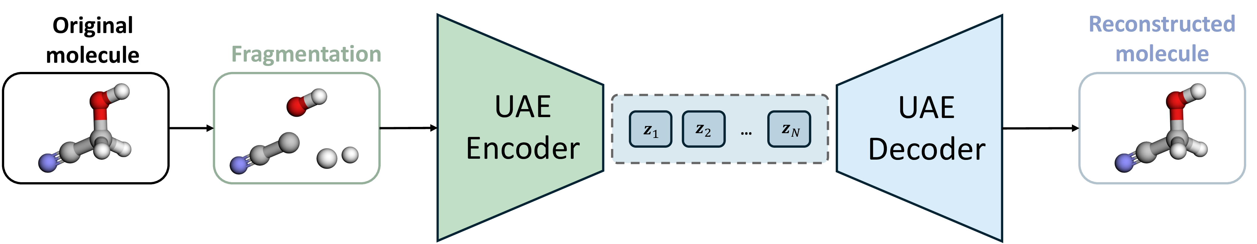 Figure 5: To enable fragment-conditioned generation, molecules are decomposed into disconnected fragment components before UAE encoding by removing inter-fragment bonds. Latent representations are therefore computed using only intra-fragment information. The UAE decoder subsequently reconstructs the full molecular graph, including bonds between fragments.