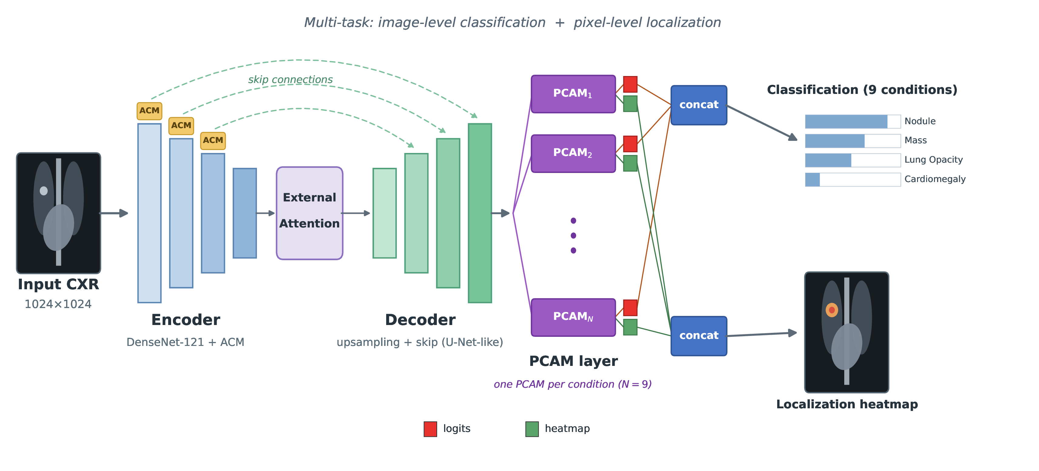 Figure 1: Overall structure of the Inspectra CXR version 5 analysis model: a DenseNet-121 + ACM encoder, an External Attention stage, and a decoder with upsampling and skip connections (similar to a U-Net), followed by a PCAM (+ Cut-Noise) aggregation layer with one branch per condition. Each PCAM branch emits a class logit and a per-condition heatmap; the logits are concatenated into the classification output and the heatmaps into the localization output.