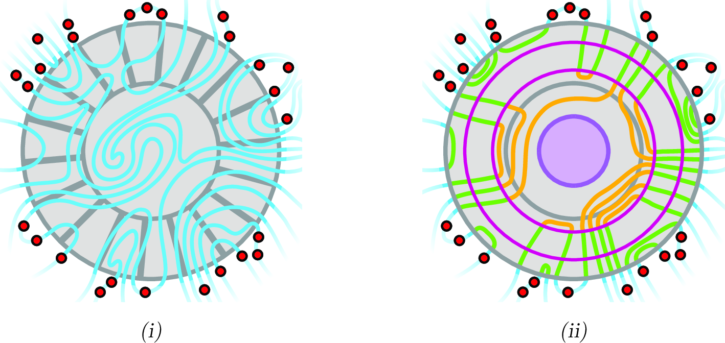Figure 4: (i) An instance of the k-Disjoint Paths problem partially drawn in a disc “guarded” by a large cylindrical wall. (ii) The outcome of an application of the Annulus Combing Lemma followed by an application of known techniques for redrawing linkages in a disc. The result is an equivalent solution to the problem which avoids the central part of the wall.
