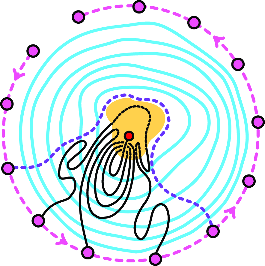 Figure 12: A sketch of an exhaustive candle in a blank cylindrical rendition \rho of a linear society with a nest (depicted in blue). The yellow area marks the unique vortex of \rho.