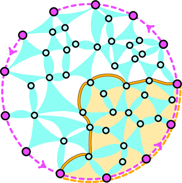 Figure 8: A society with a vortex-free rendition in a disc together with a rooted curve \gamma depicted in yellow. The base of \gamma is marked as the yellow segment and the shaded area marks the inner disc of \gamma.
