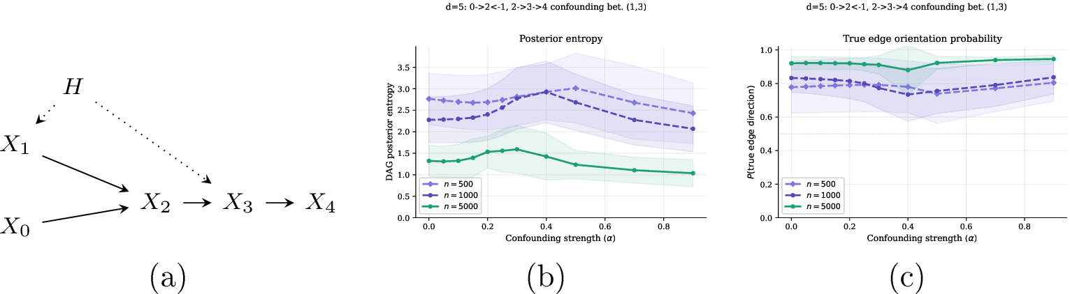 Figure 3: (a) DAG with latent confounder H; (b) posterior entropy; (c) true edge posterior probabilities.